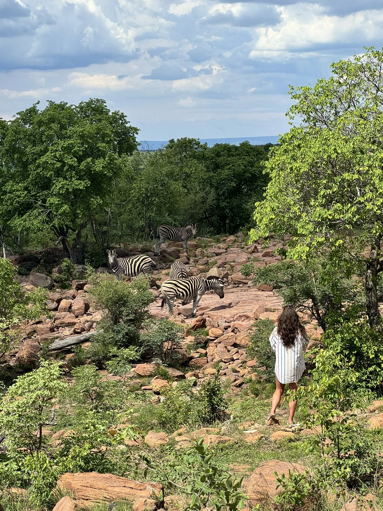 A woman with long brown hair wearing a white striped shirt and shorts observing zebras in a rocky, green landscape with trees and a partly cloudy sky.
