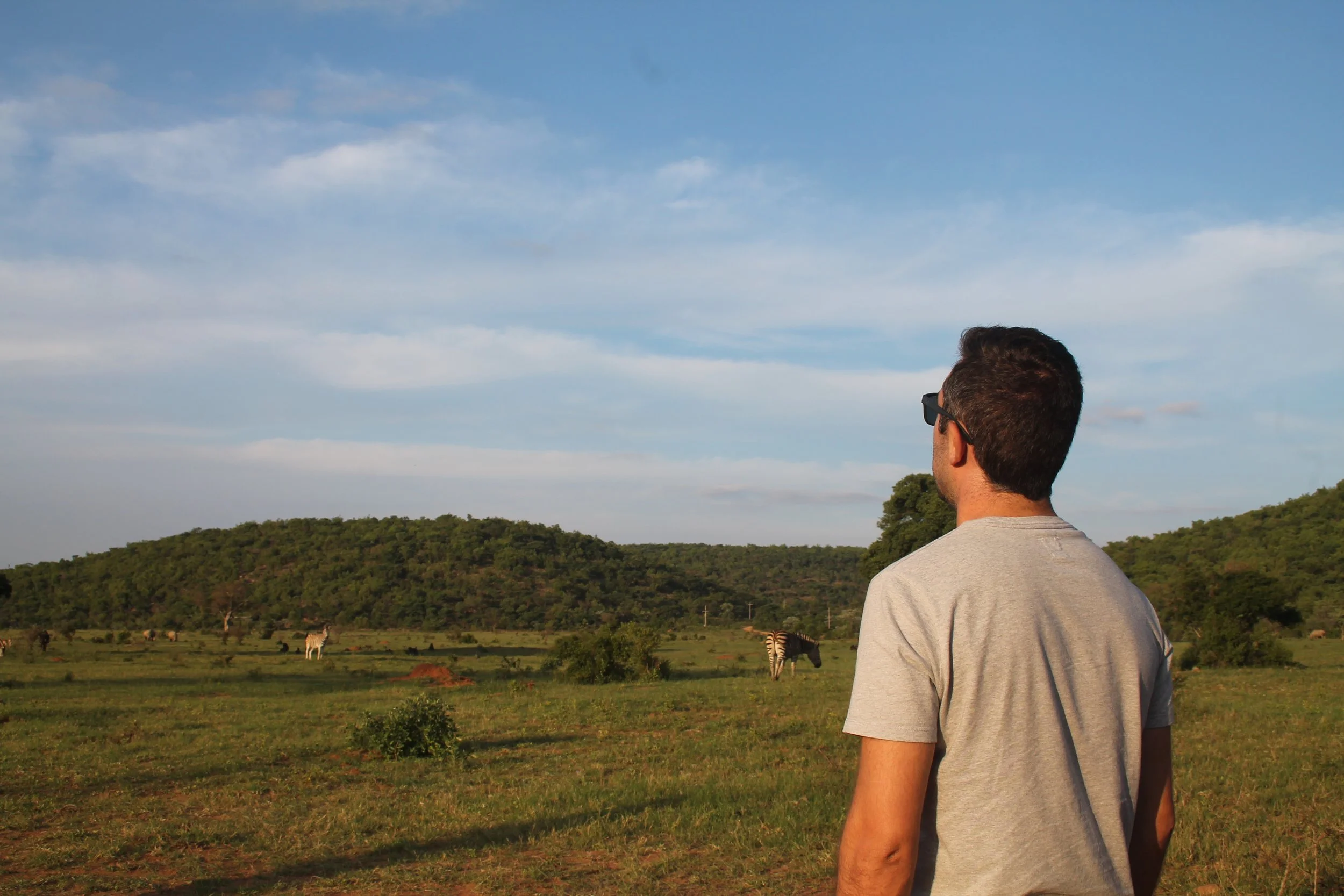 A man wearing sunglasses and a gray t-shirt standing in a grassy field, facing away, looking at zebras and other animals in the distance with green hills and partly cloudy sky.