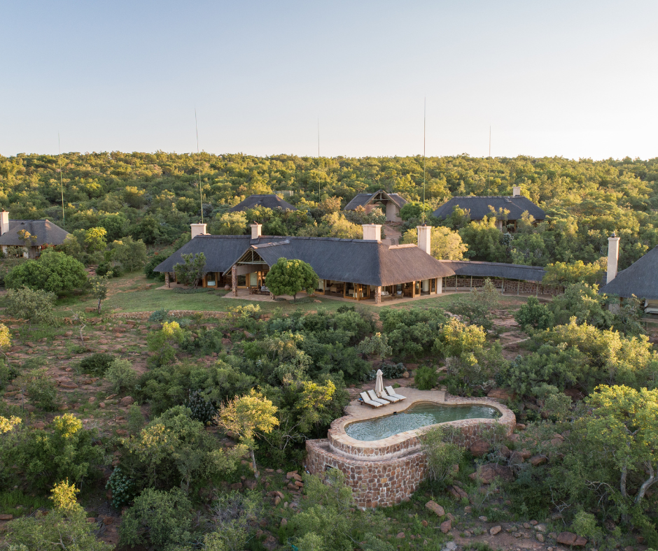 Luxury house in a wooded area with a swimming pool and outdoor lounge chairs.