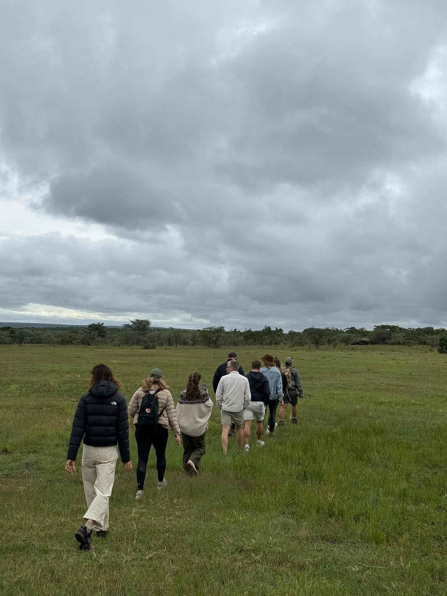Group of people walking through a grassy field under cloudy sky.