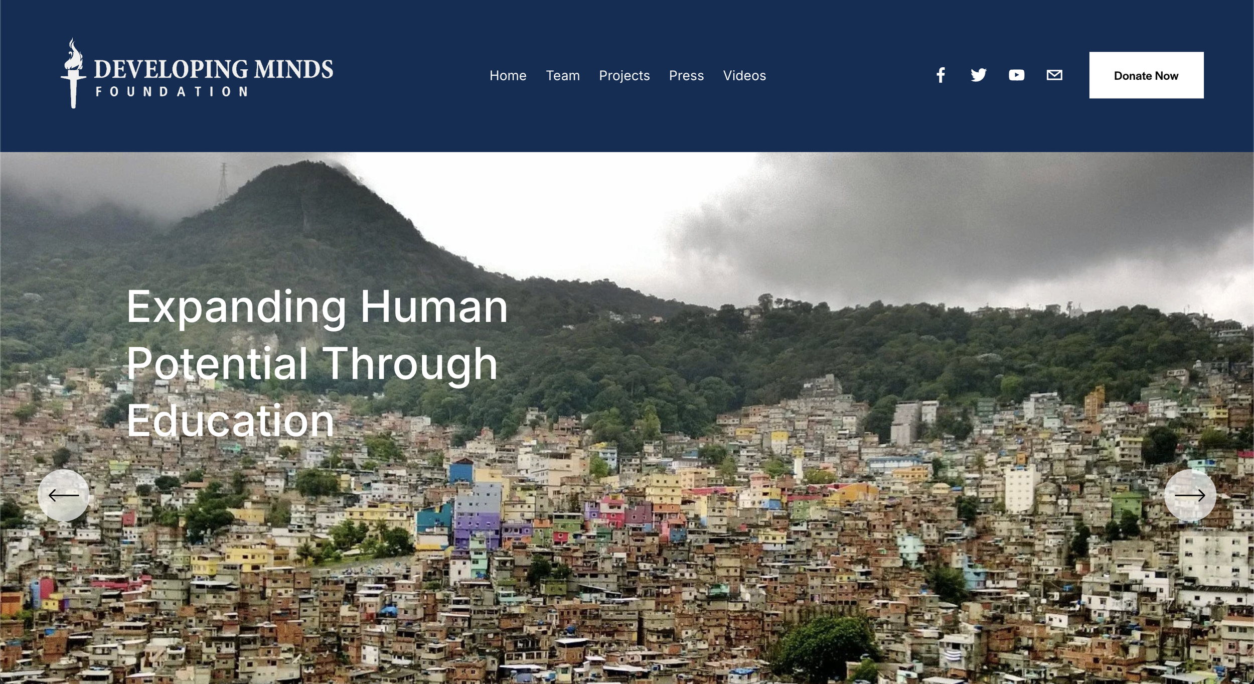 Developing Minds Foundation