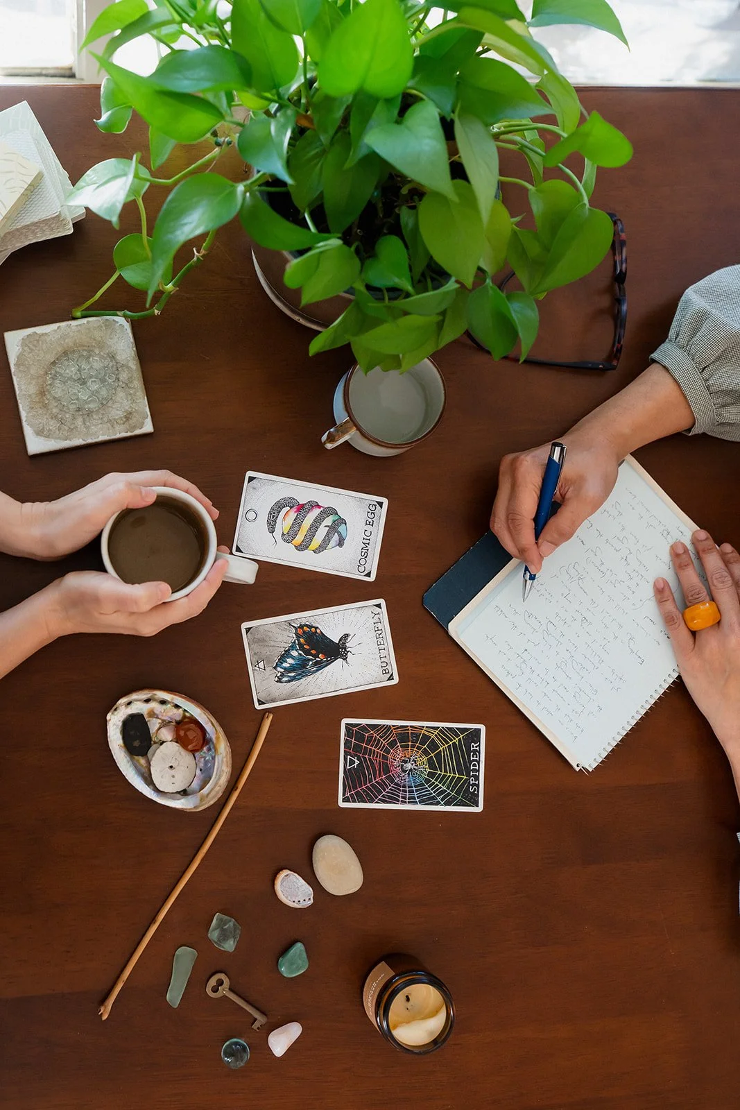 A top-down view of a wooden table with two people working, surrounded by a large plant, tarot cards, crystals, a notebook, and a candle. One person holds a mug of coffee or tea, while the other writes in the notebook.