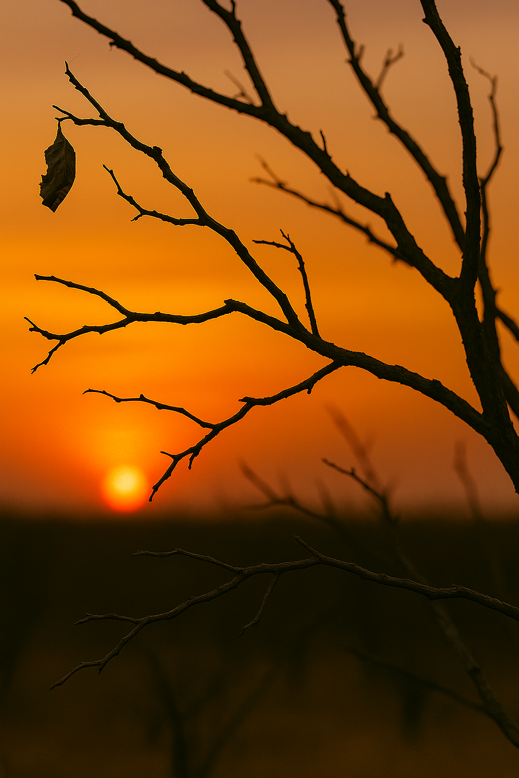 Silhouette of leafless tree branches against a sunset sky with orange and purple hues.