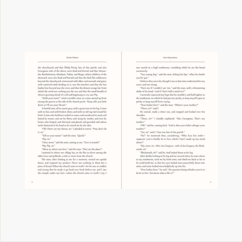 PPP Great Expectations3.png