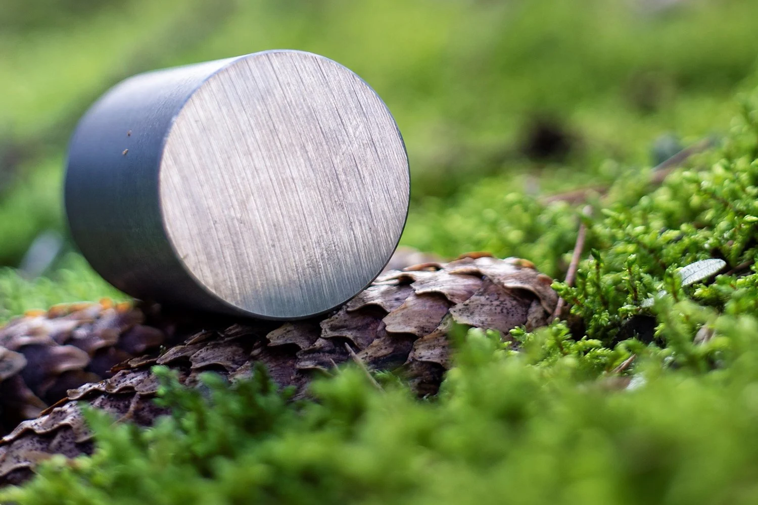 Close-up of a metal cylindrical object on top of a pinecone and green moss in a natural outdoor setting.