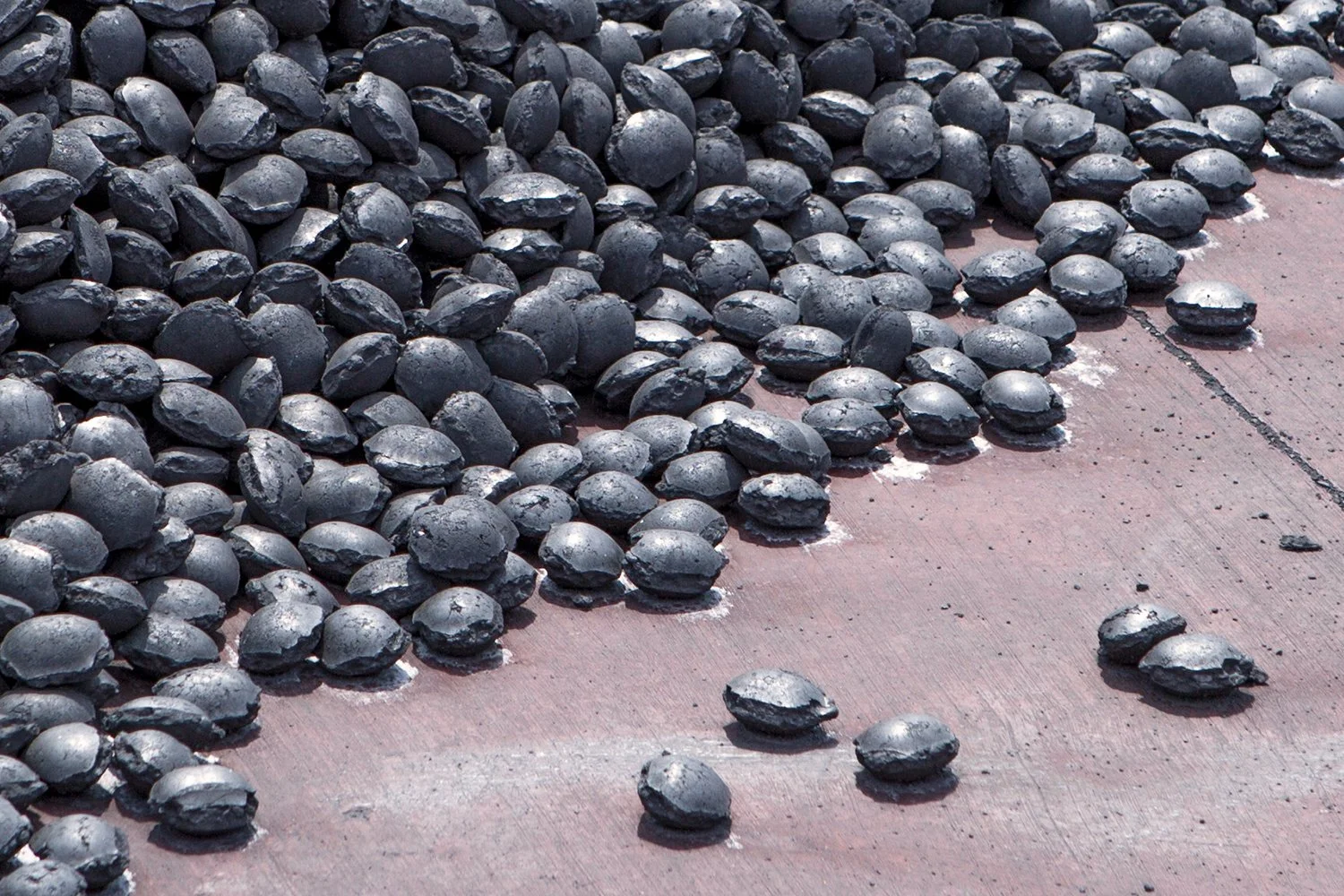 A large pile of black seeds or nuts scattered on a concrete surface, with some seeds spilled apart from the main pile.