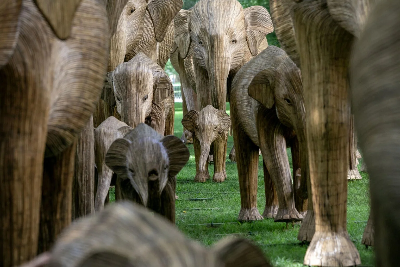 World Elephant Day