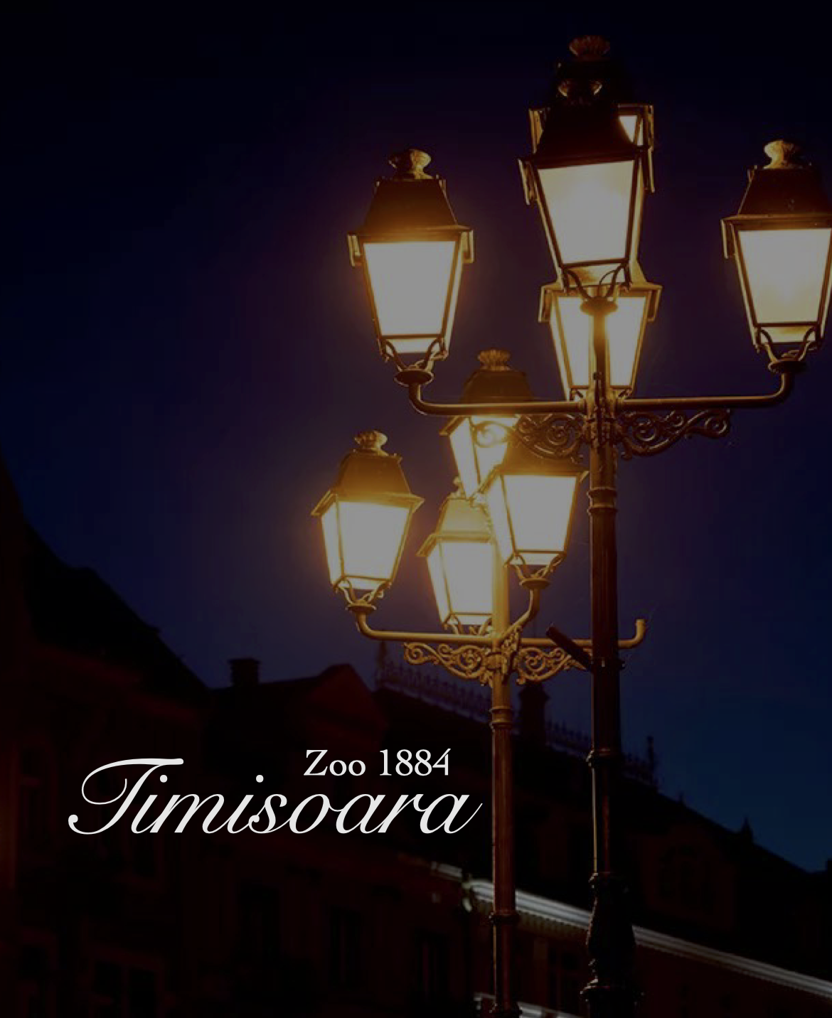 TIM Cover en.png
