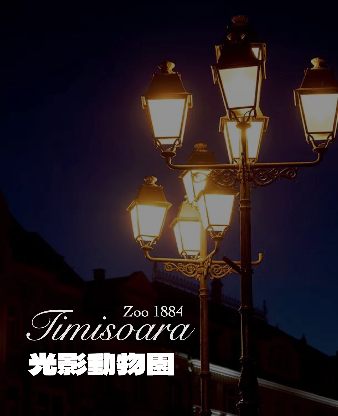 TIM Cover tc.png
