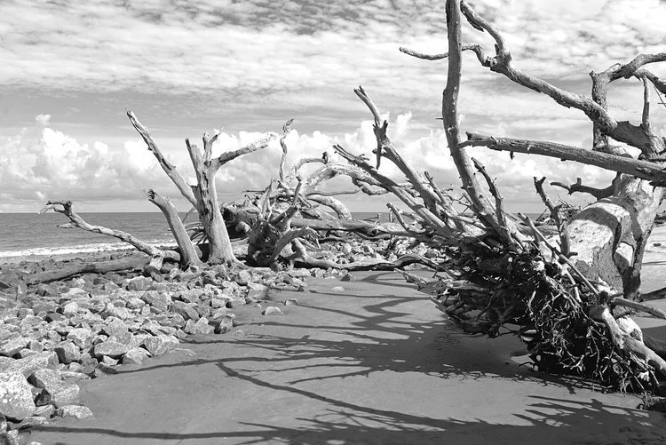 3rd Thursday - Opening Reception for Black, White, and Everything in Between