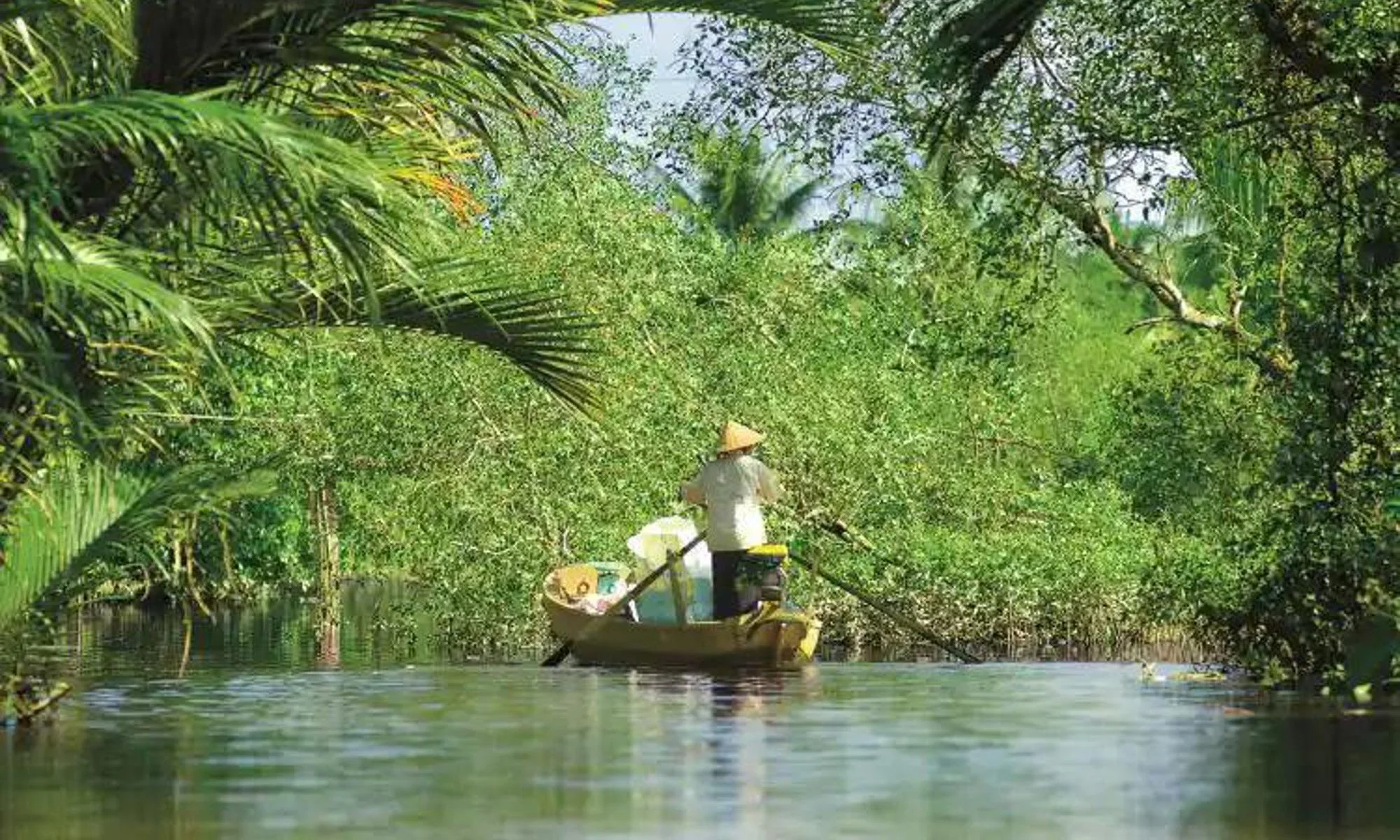 A person wearing a conical hat paddling a small boat through a lush, green mangrove forest.