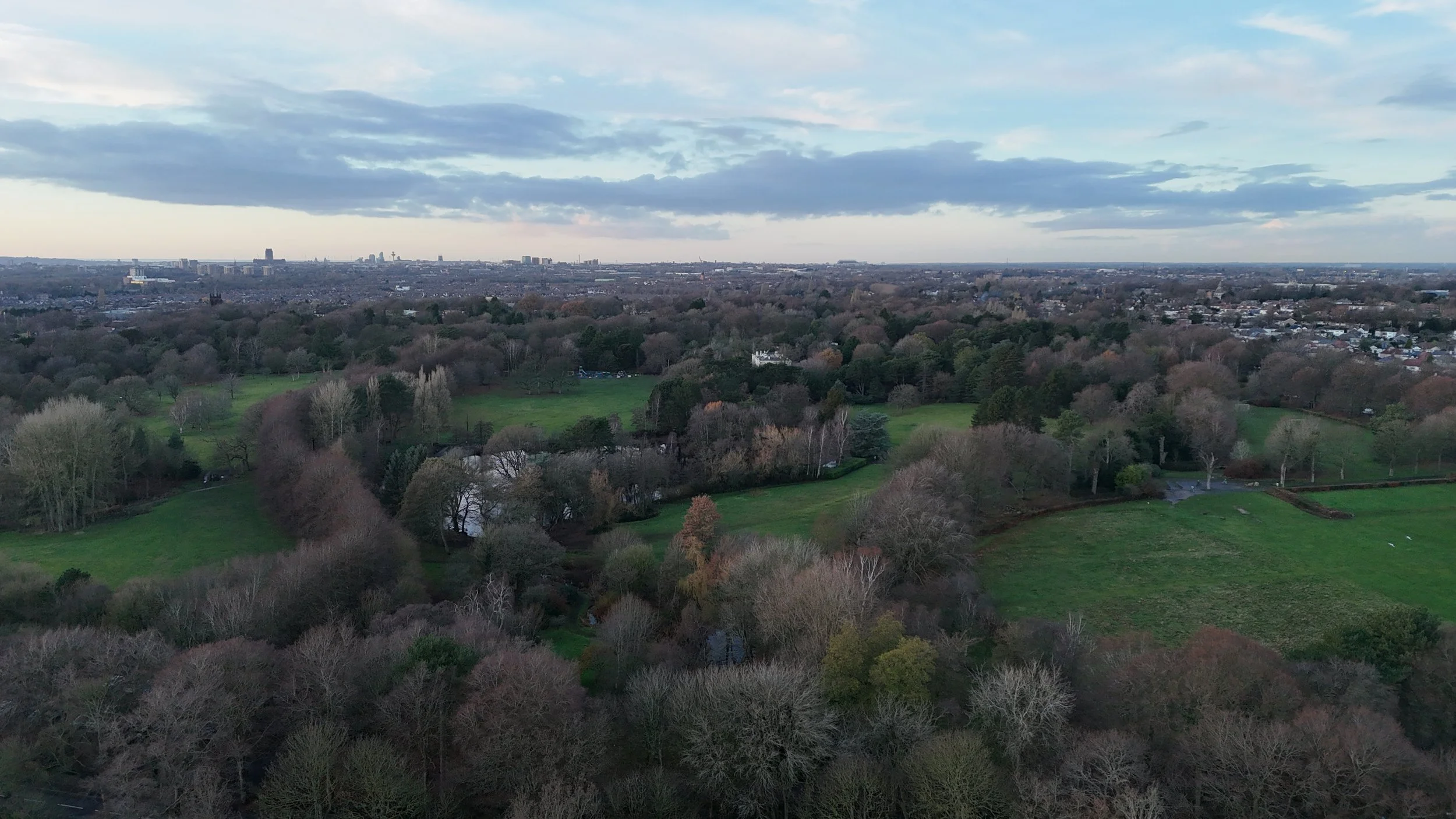 Aerial view of a park with trees, grass, and pathways, with a city skyline in the distance under a cloudy sky.