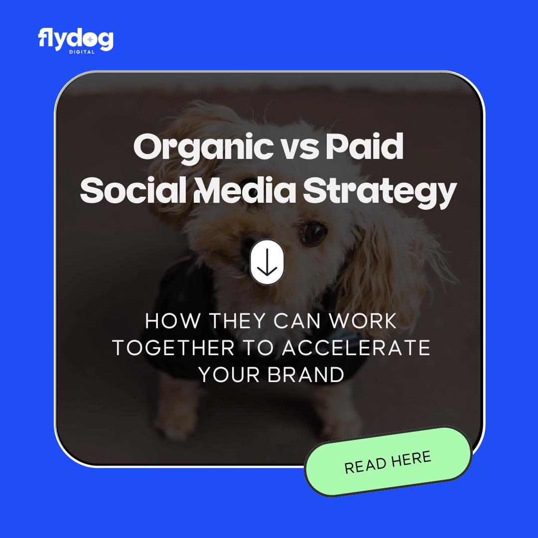 Organic vs Paid Social Media Strategy: How They Can Work Together to Accelerate Your Brand