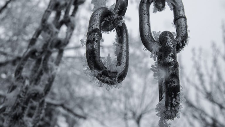 12 DE FEBRERO DE 2026