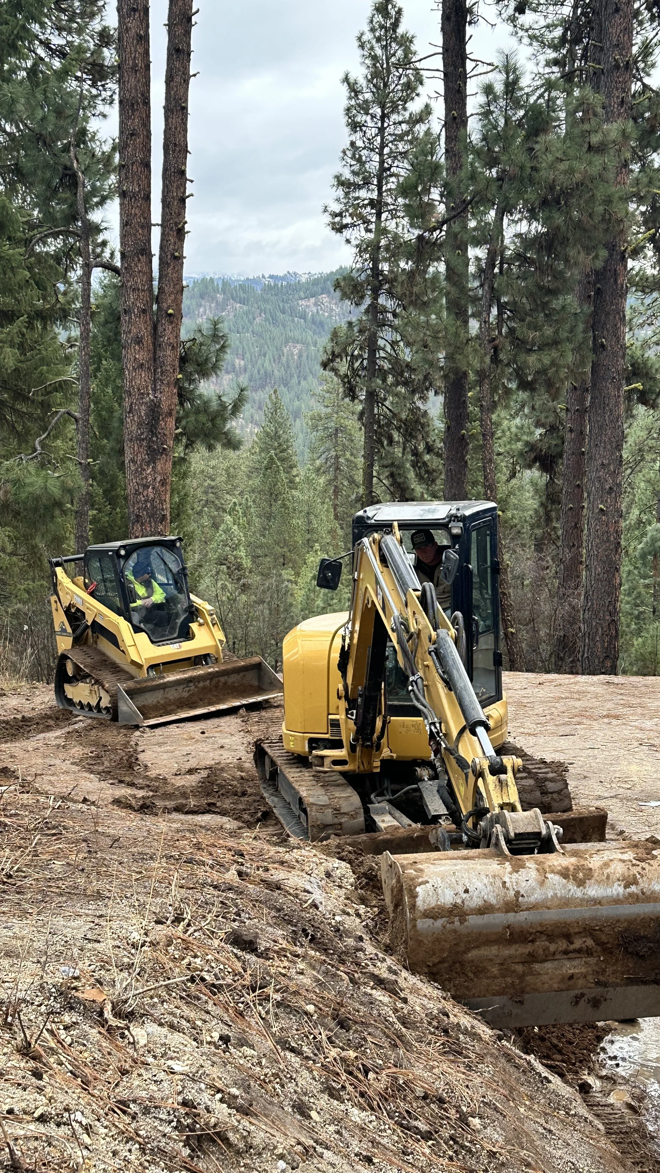 Two yellow construction bulldozers working on a dirt path in a forest with tall pine trees.
