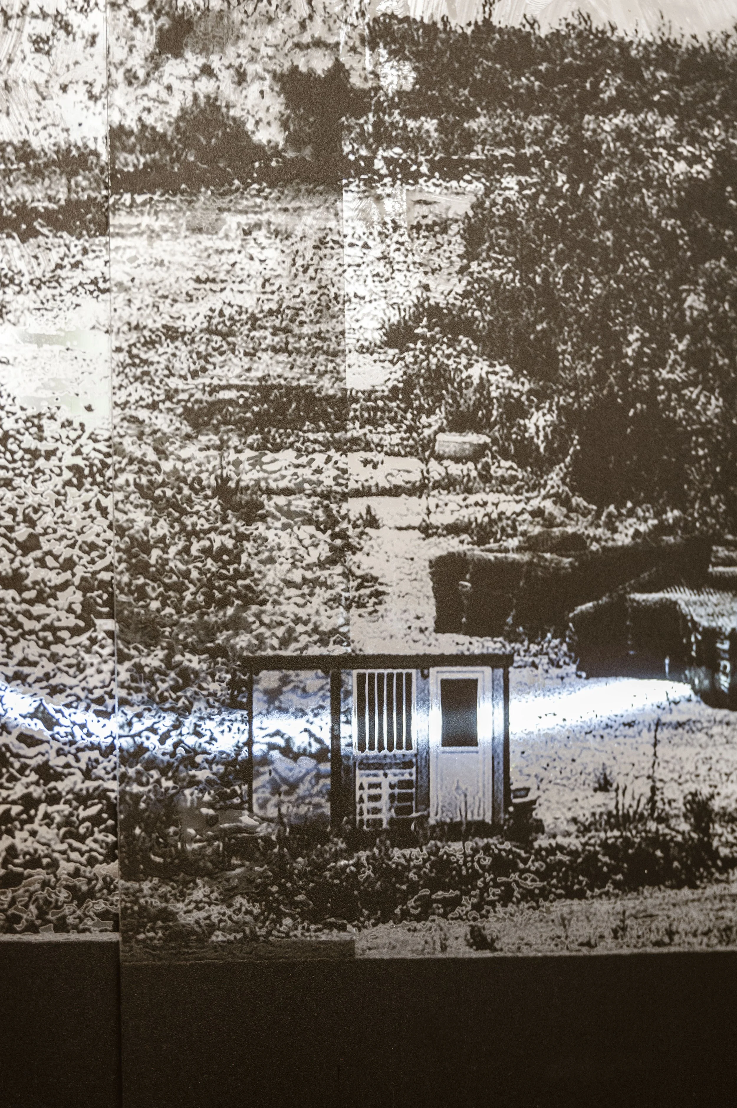021_6409 copie.jpg