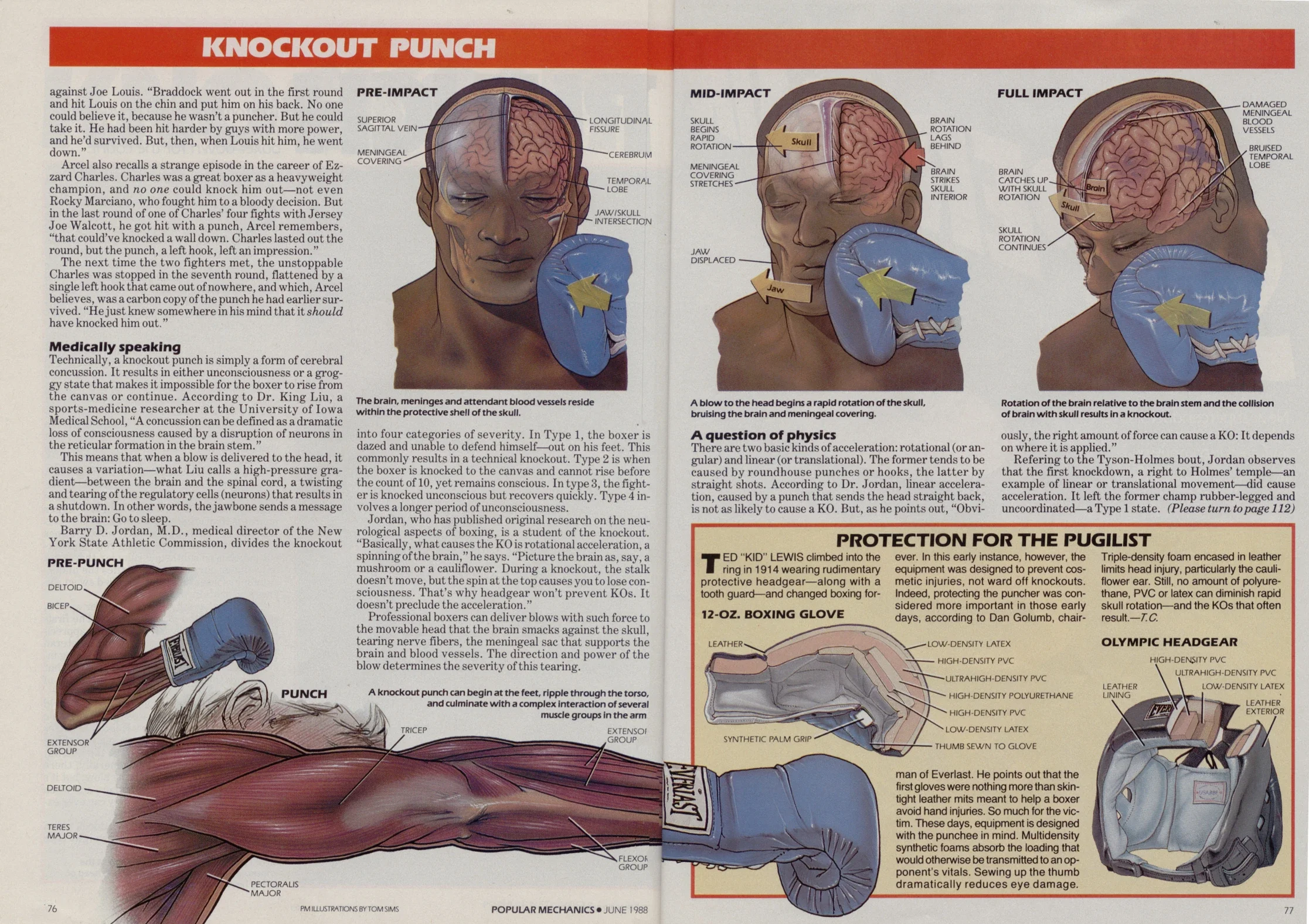 archive-boxing-knockout-punch-mechanics-diagram-spread-v1-2048.webp