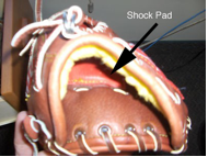 golomb_blog_instructional_shock_pad_glove_interior_v1.png