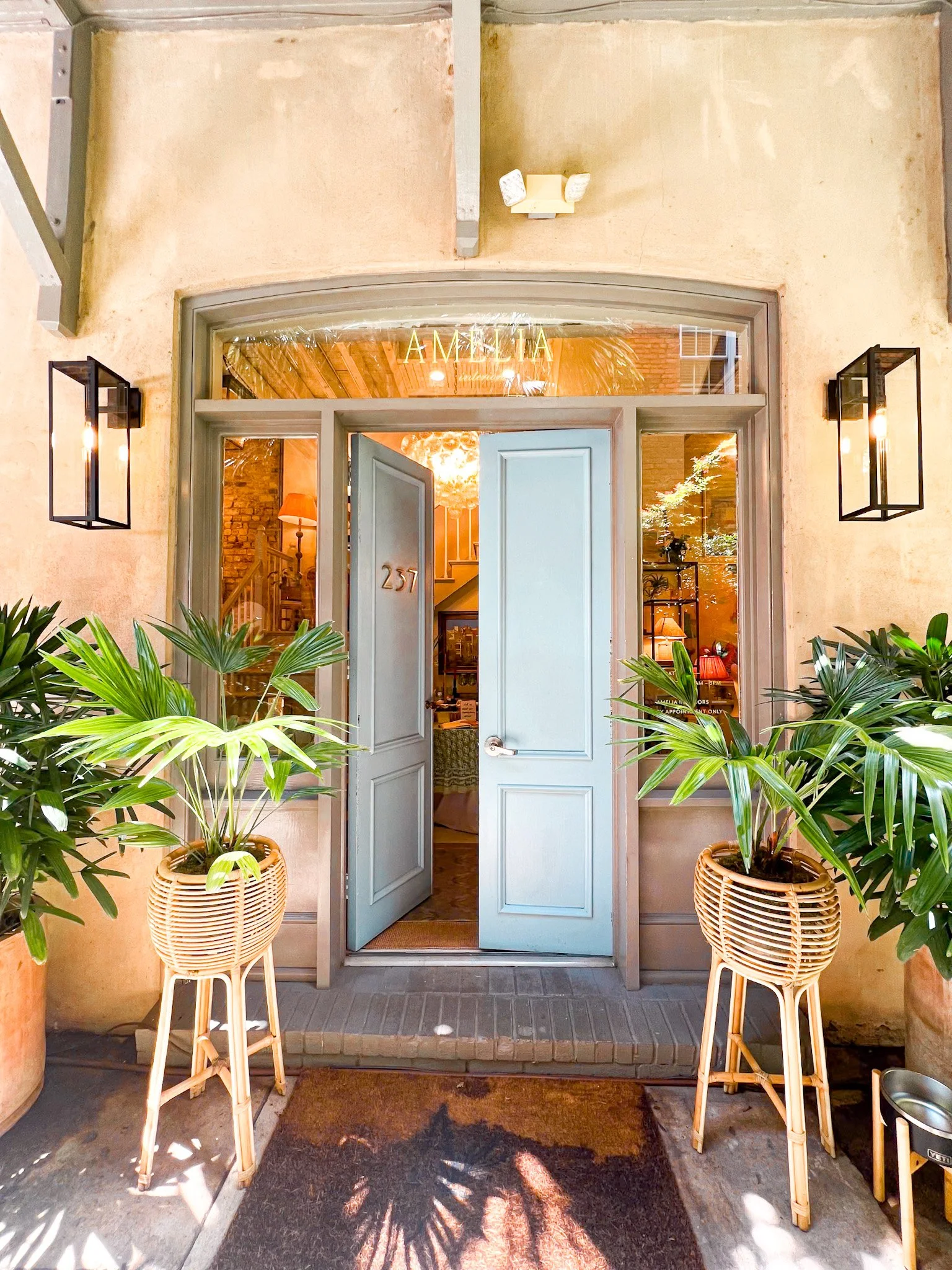 Open light blue door leading into a warmly lit interior with plants on either side, and a sign above the door that reads 'AMELIA'.