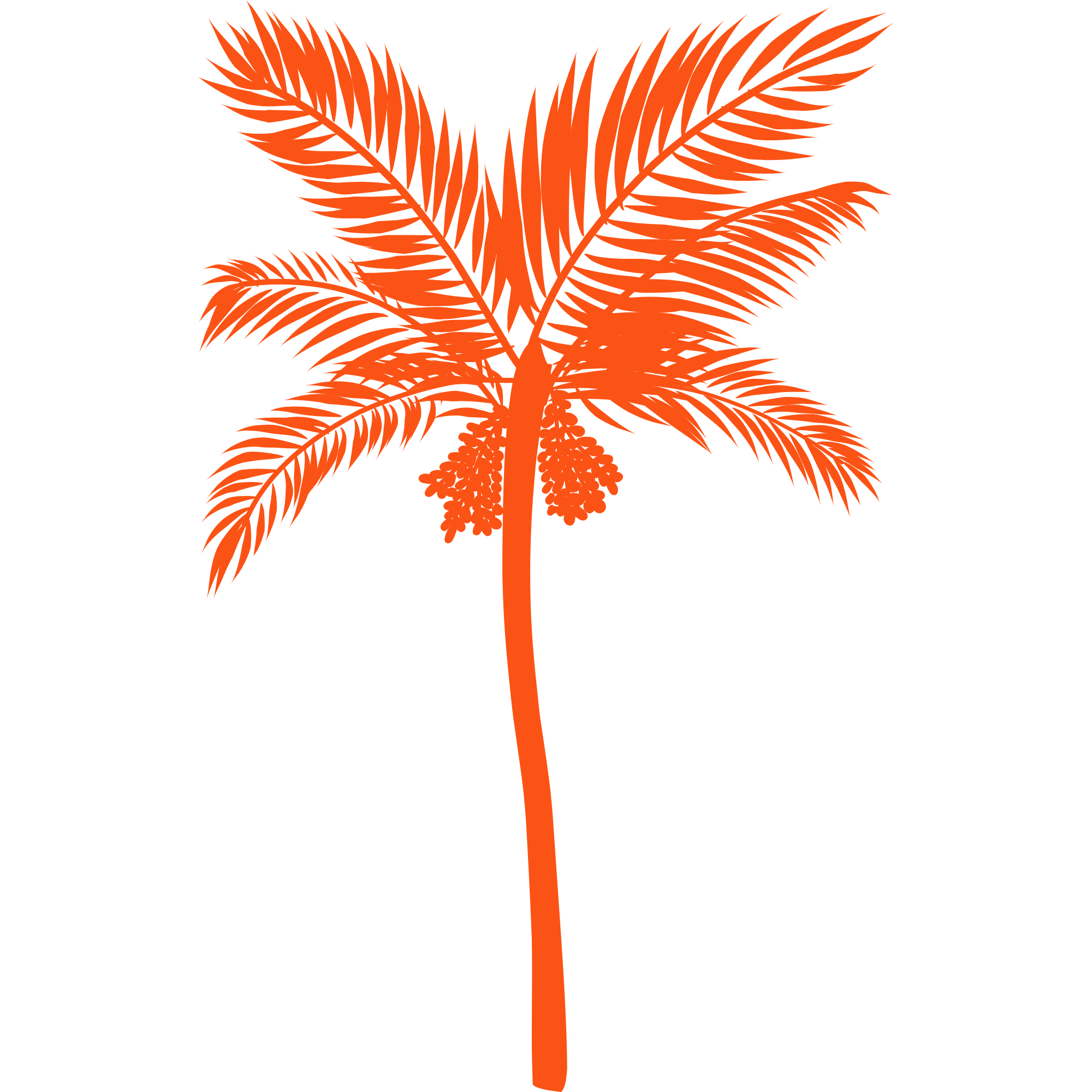 A stylized orange palm tree with a cluster of coconuts against a black background.