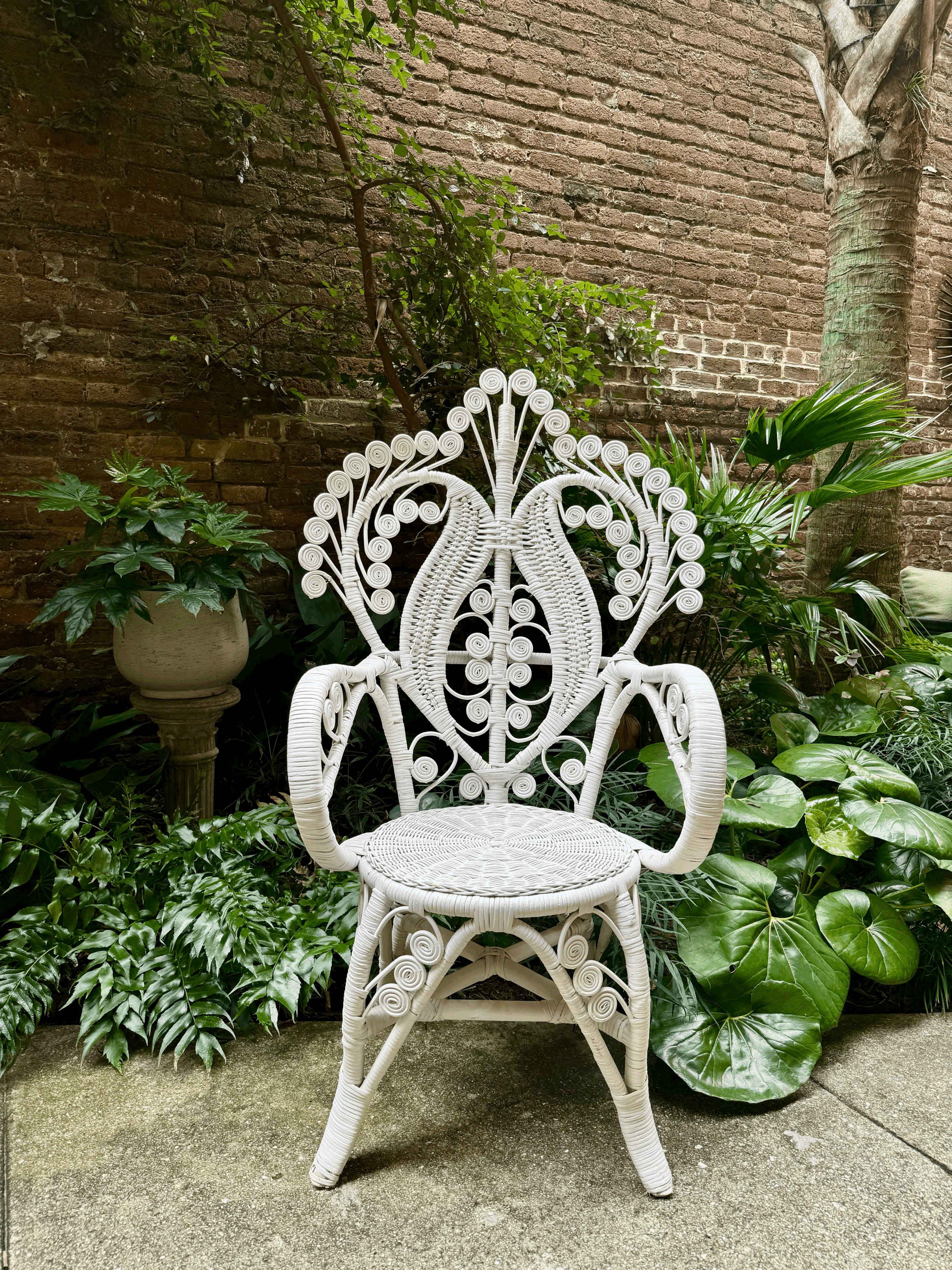 Fiddlehead Peacock Chair