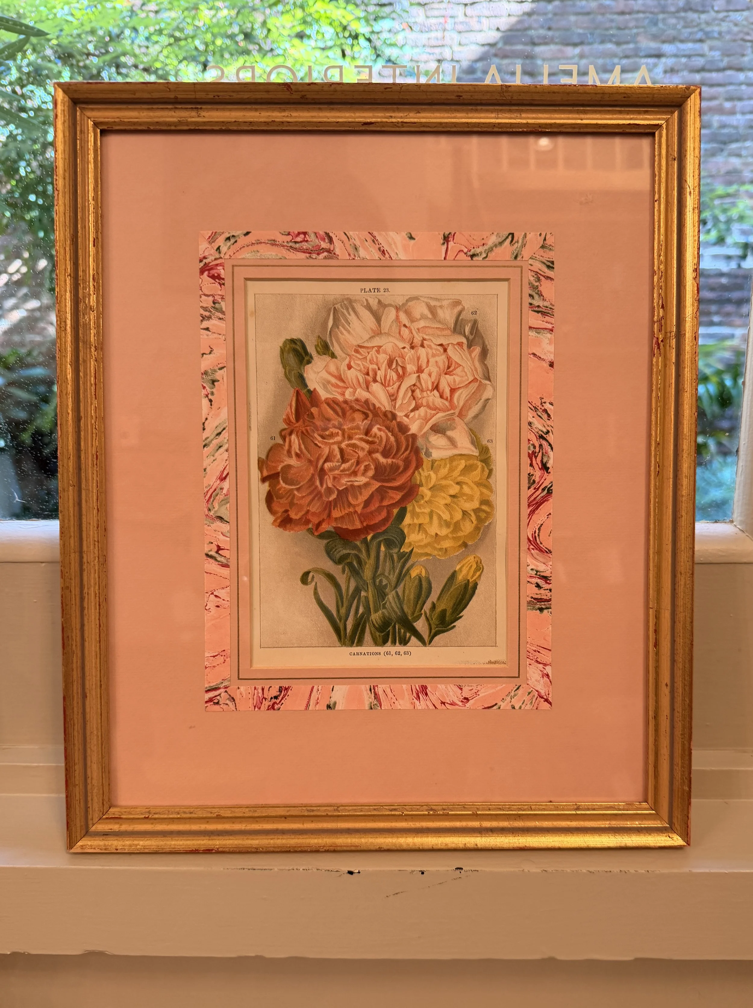 Vintage Framed Carnation Botanical Print