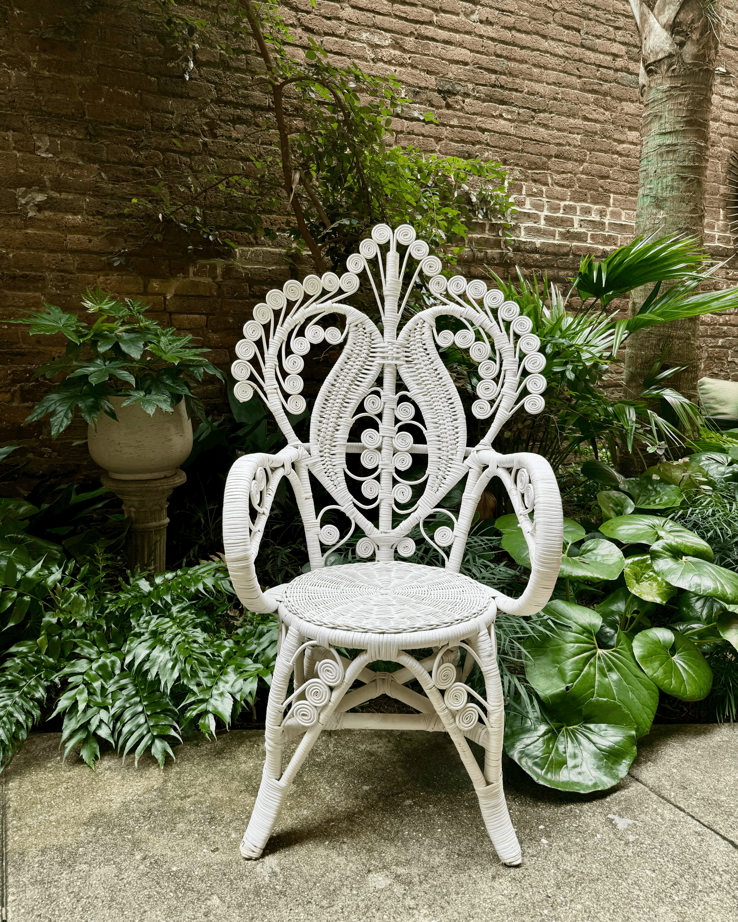 Fiddlehead Peacock Chair