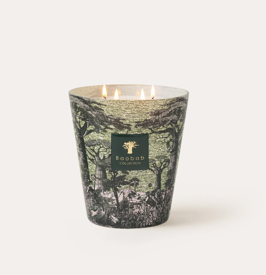 Baobab Candle Sacred Trees Touba Max 16
