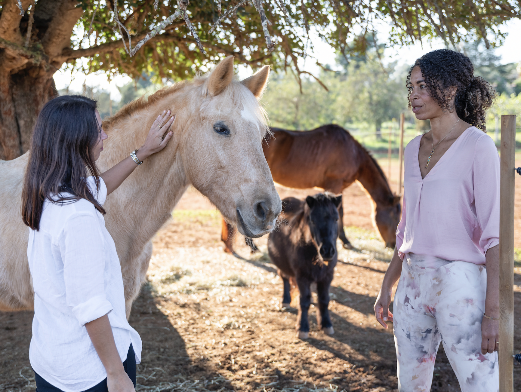 Two women, one younger and one older, are outdoors at a farm or ranch, interacting with a light-colored horse. The younger woman is petting the horse's neck, and the older woman is observing. In the background, there are two other horses, one brown and one black, under a large tree with leaves filtering sunlight.