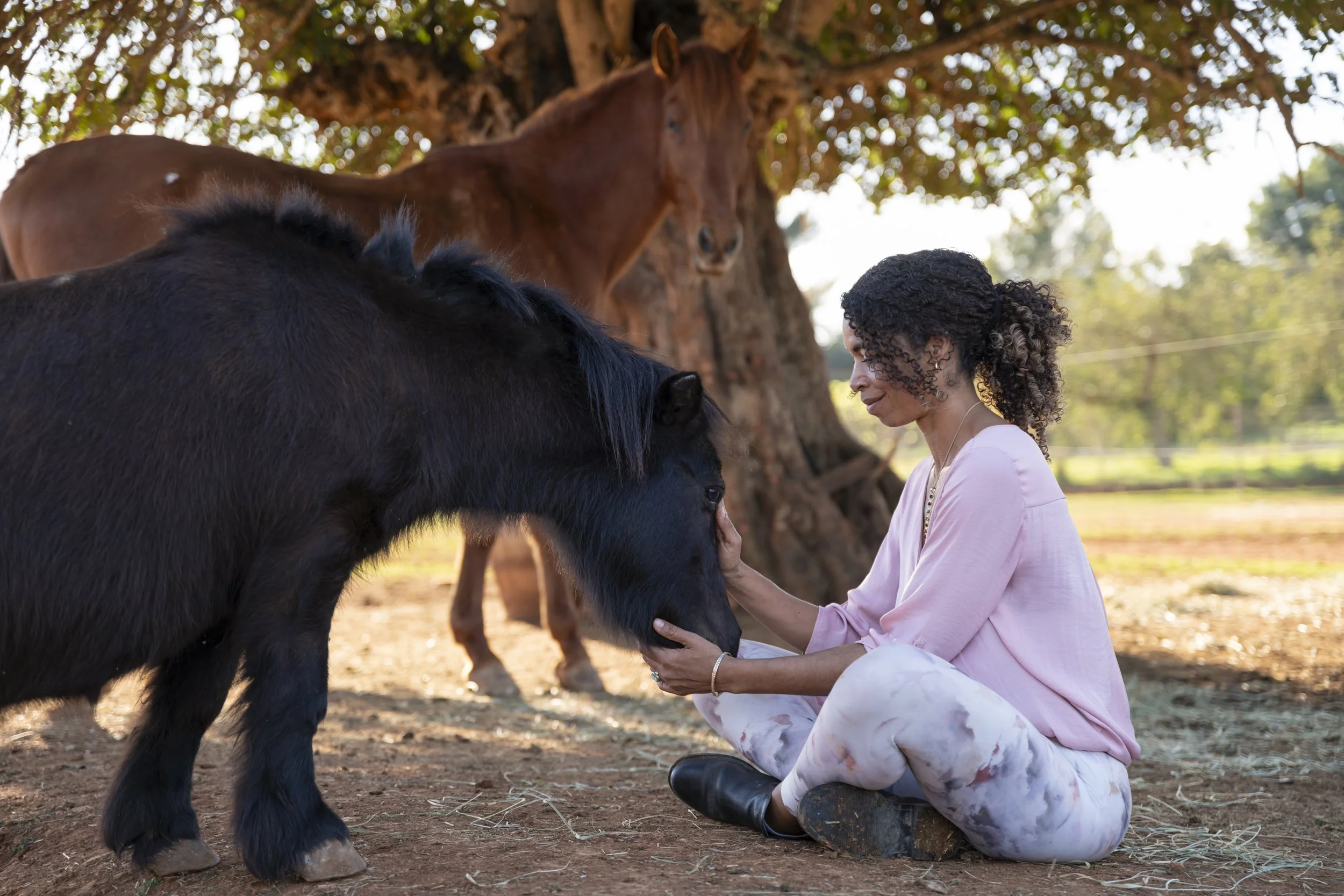 A woman in a pink blouse and patterned pants sitting on a tree stump, gently petting a small black pony, with a brown horse standing under a large tree in the background.