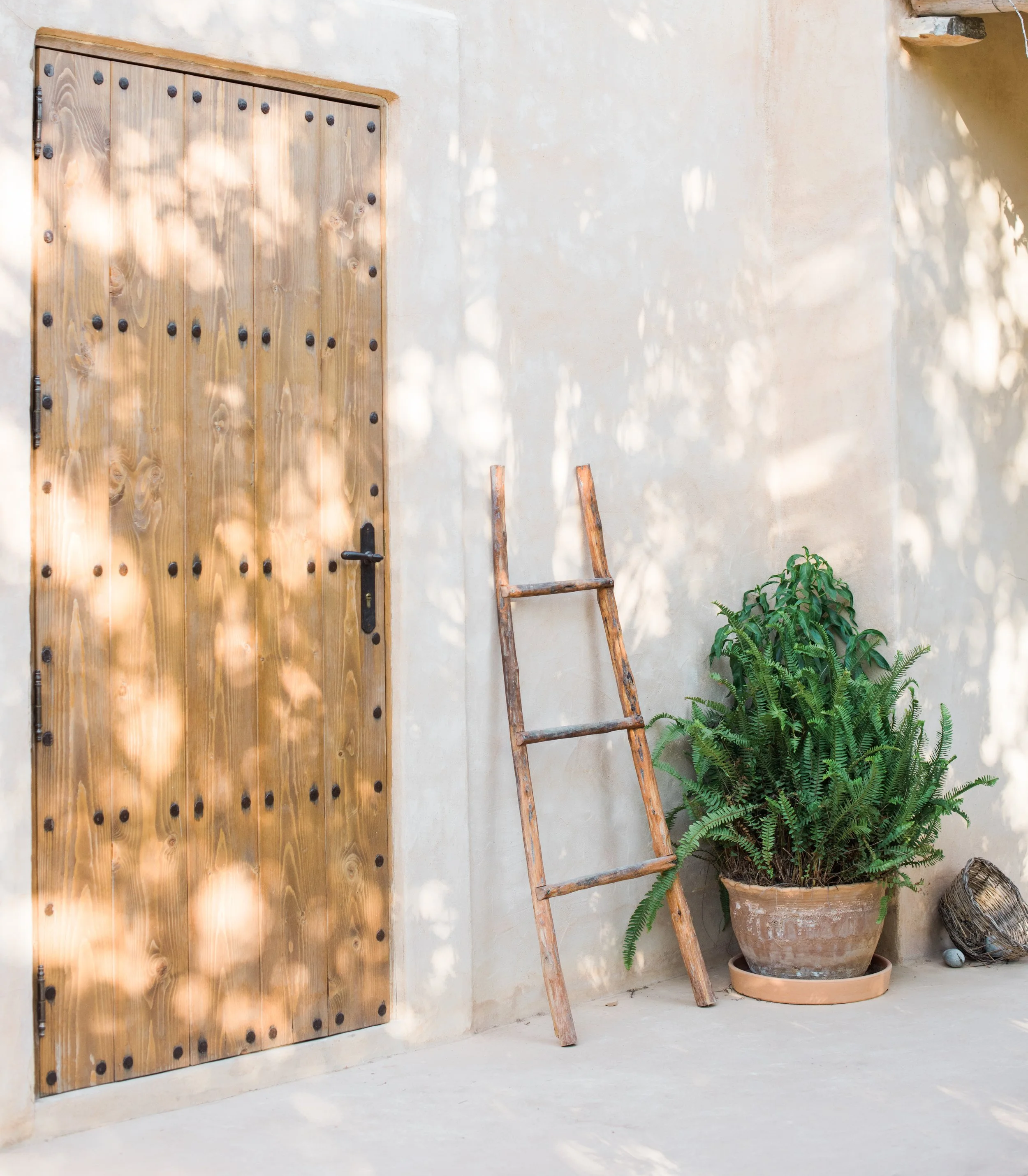 Wooden door with black metal studs, leaning ladder, potted green fern, and a small plant pot on a patio.