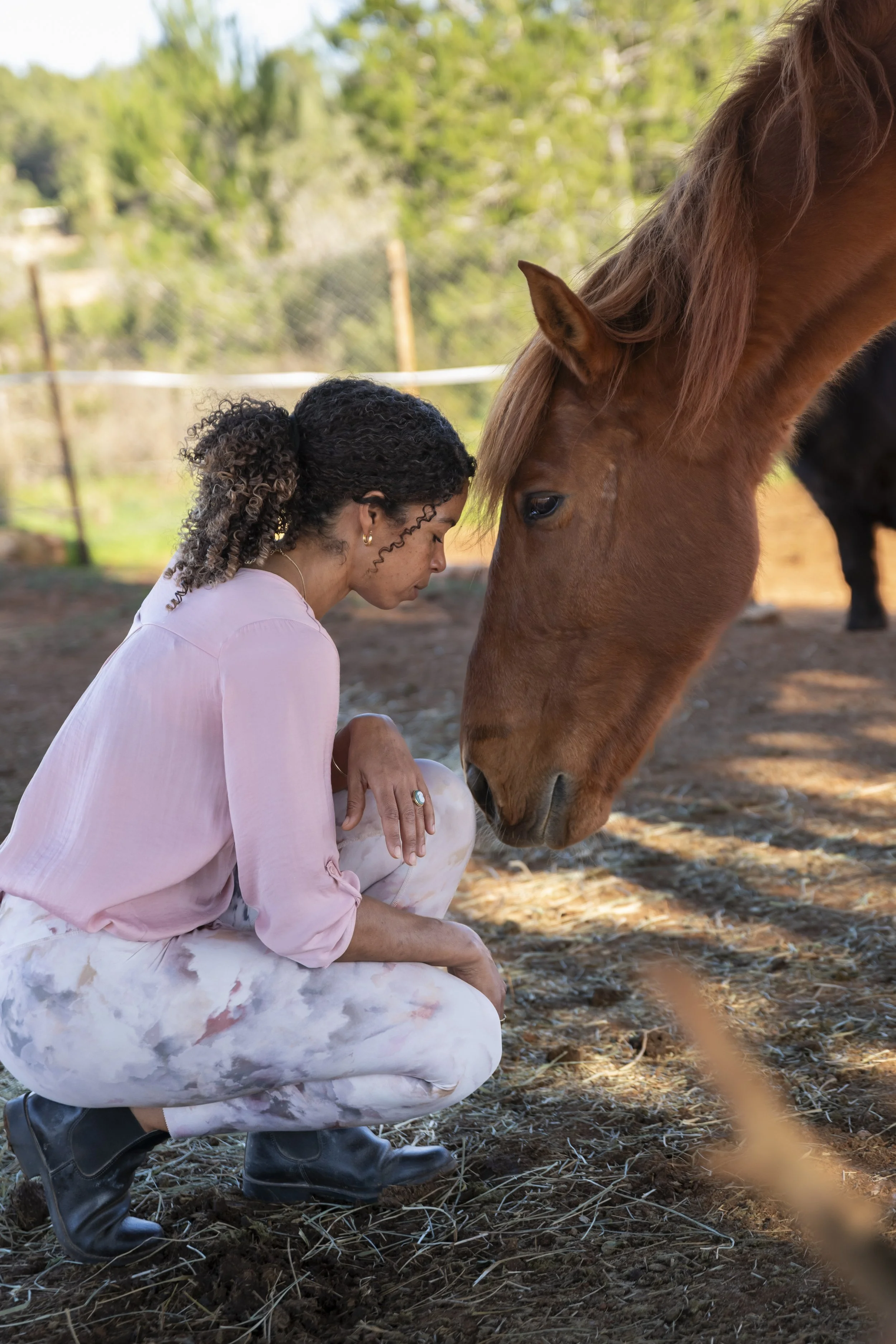 A woman in pink clothing crouches down to gently touch a brown horse on its nose in a farm setting with trees in the background.