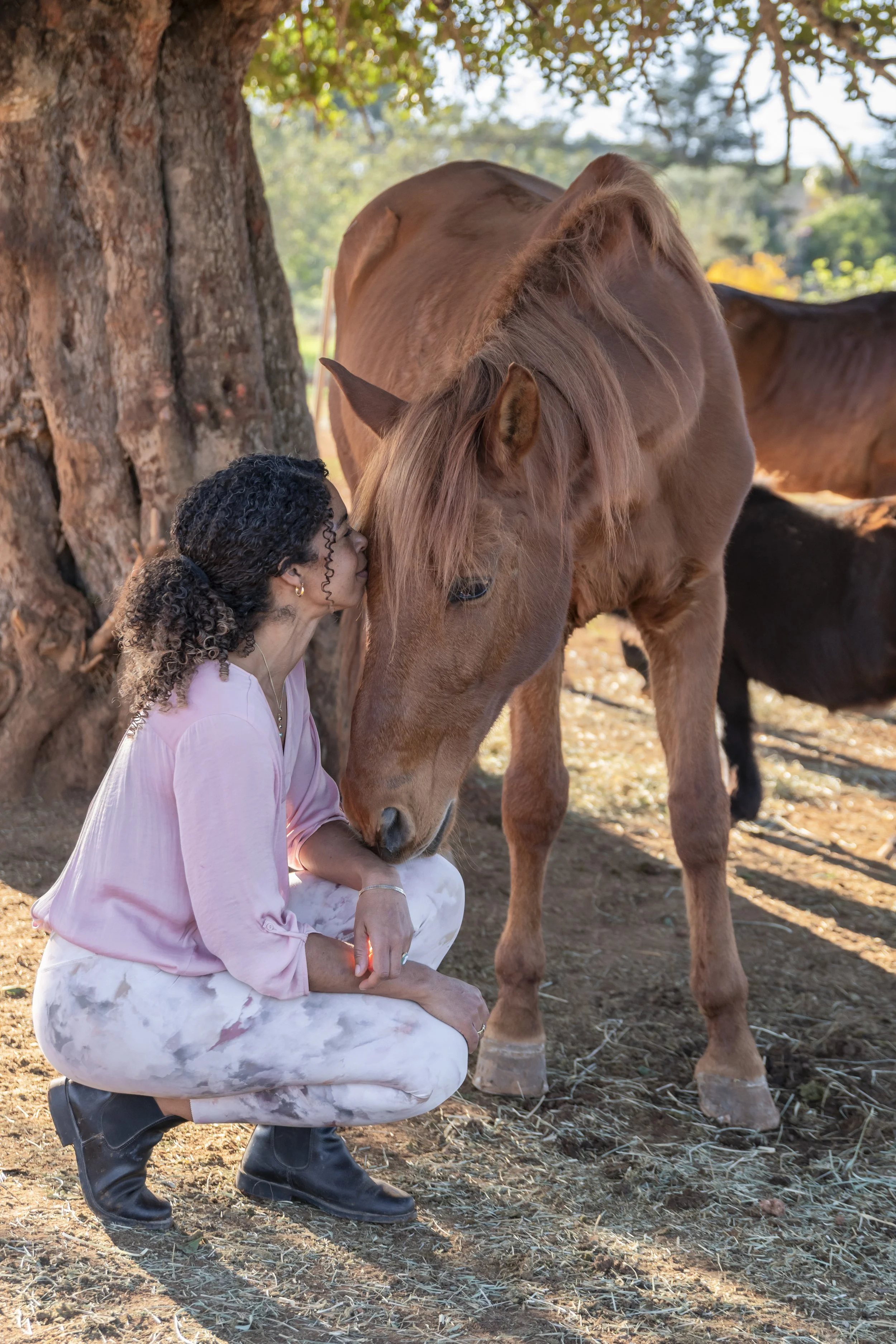 A woman crouching next to a brown horse, touching foreheads in a tender moment under a large tree outdoors.