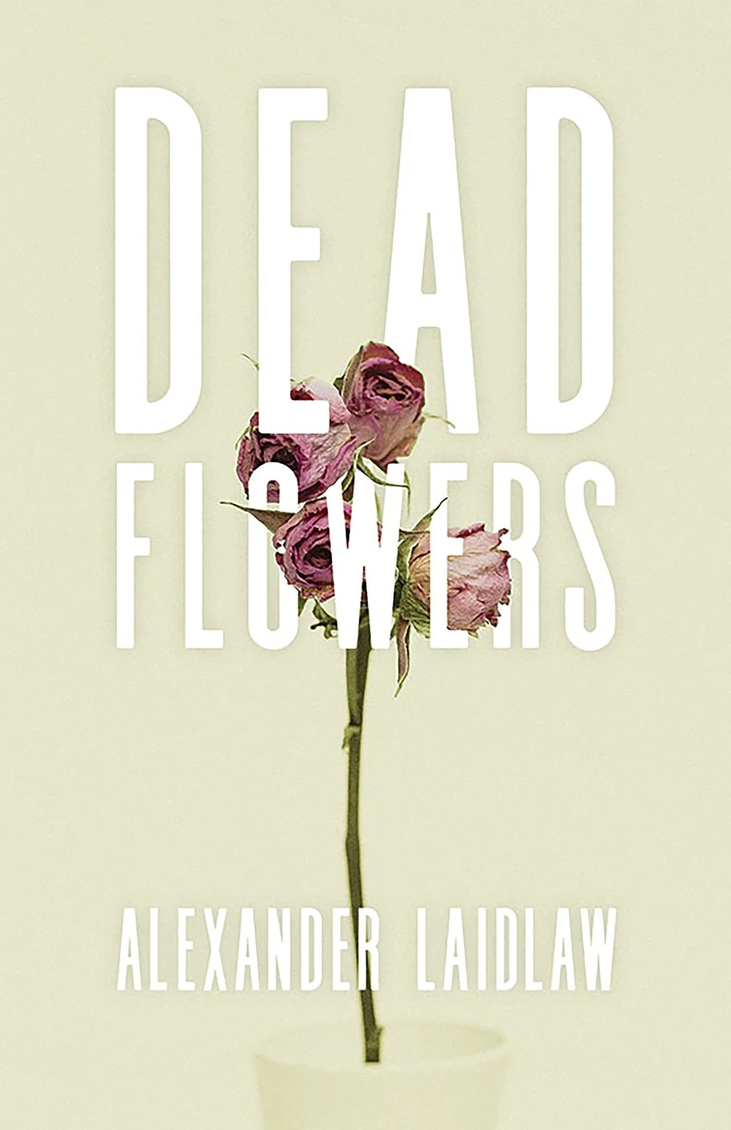 Dead Flowers by Alexander Laidlaw