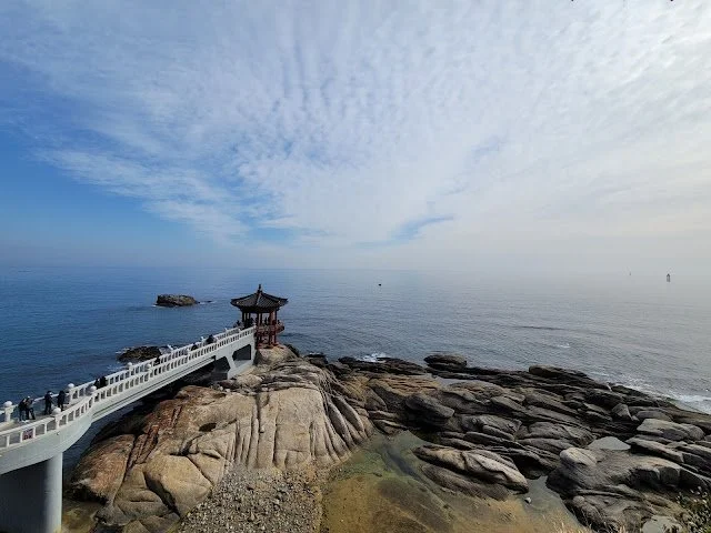 Winter in Sokcho by Elisa Shua Dusapin