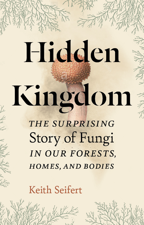 In conversation with Jessica Sullivan