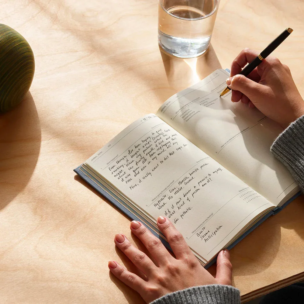 The Anti-Anxiety Notebook by Therapy Notebooks