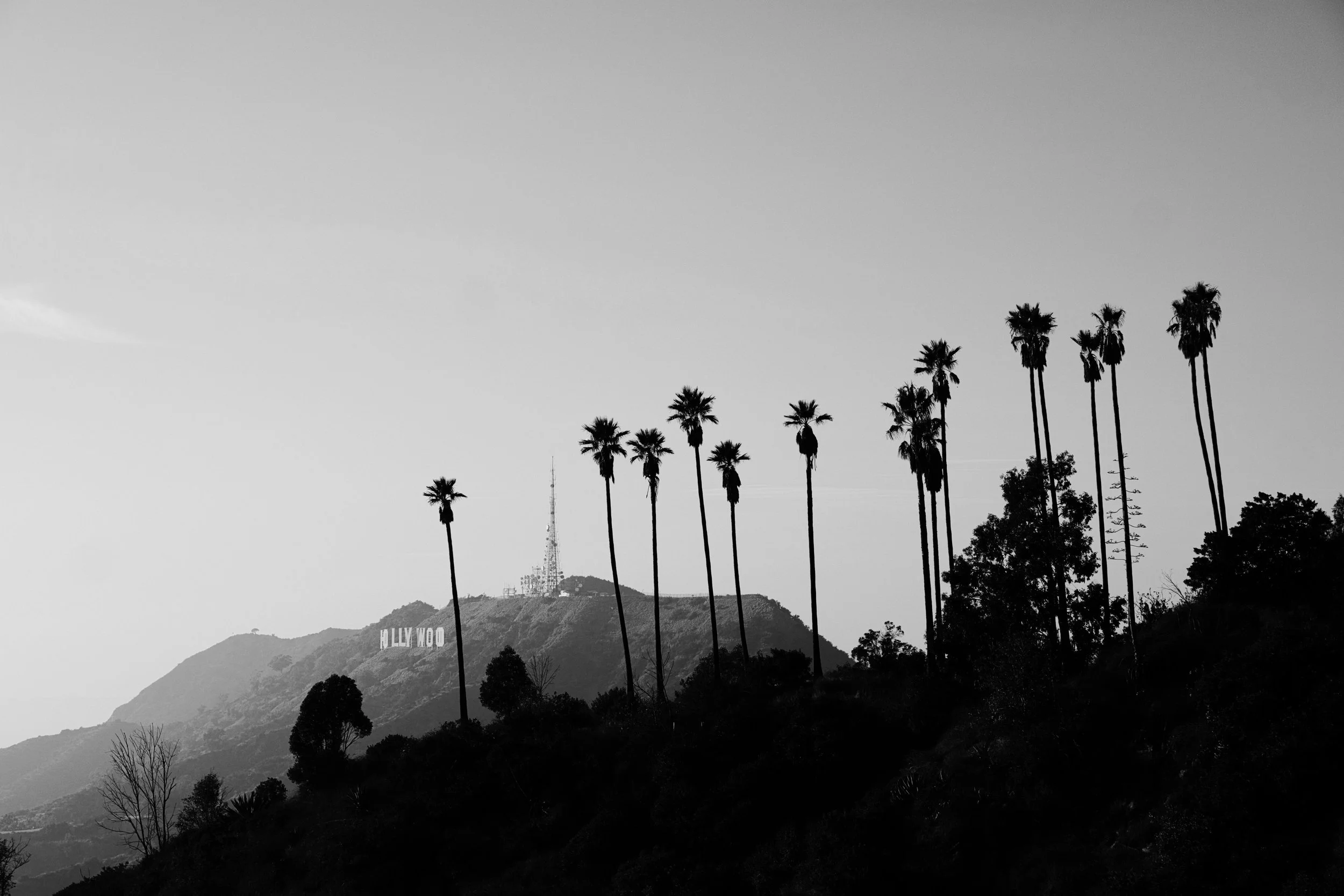 Black and white photo of the Hollywood sign on a hillside, with tall palm trees in the foreground and a radio tower on top of the hill.