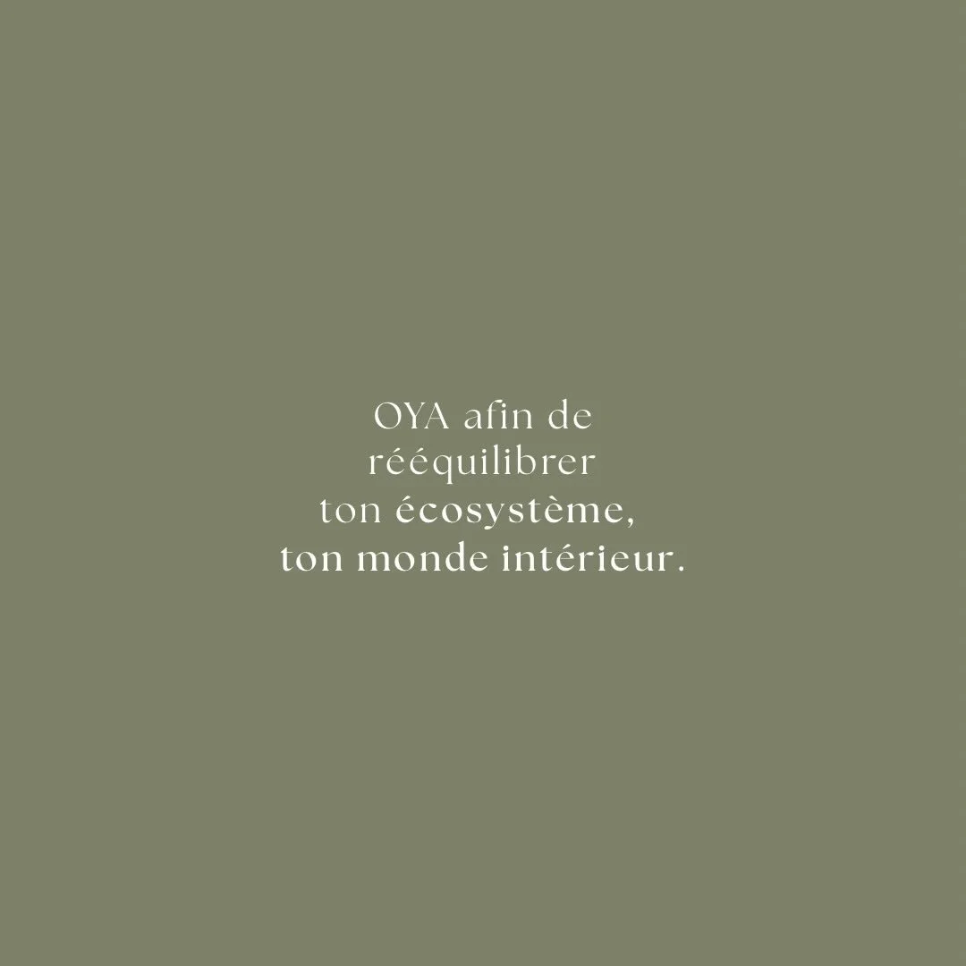 OYA est n&eacute; de mon histoire personnelle,
chaos &eacute;motionnel, fatigue, d&eacute;pression, troubles addictifs, prise de poids, troubles digestifs, environnement toxique, confiance d&eacute;pouill&eacute;e, plus d&rsquo;envie, plus rien&helli