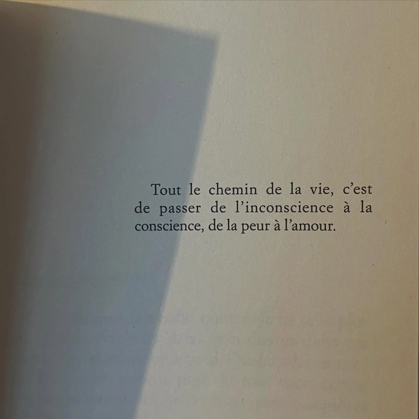 tout est dit ✨
de @fredericlenoir_officiel 

#mind #conscience 
#love