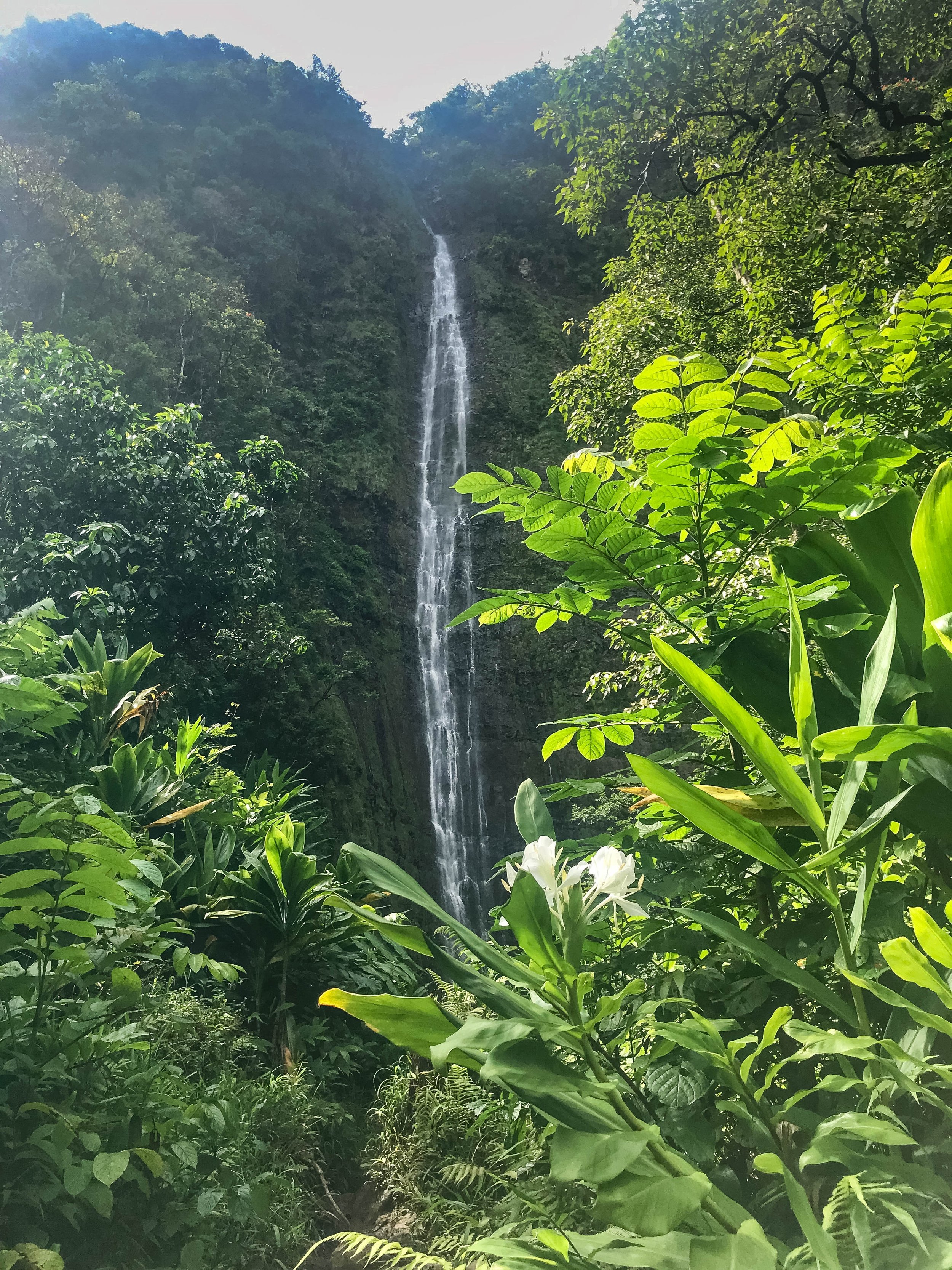 Waimoku Falls at the end of the Pipiwai Trail in Maui, Hawaii