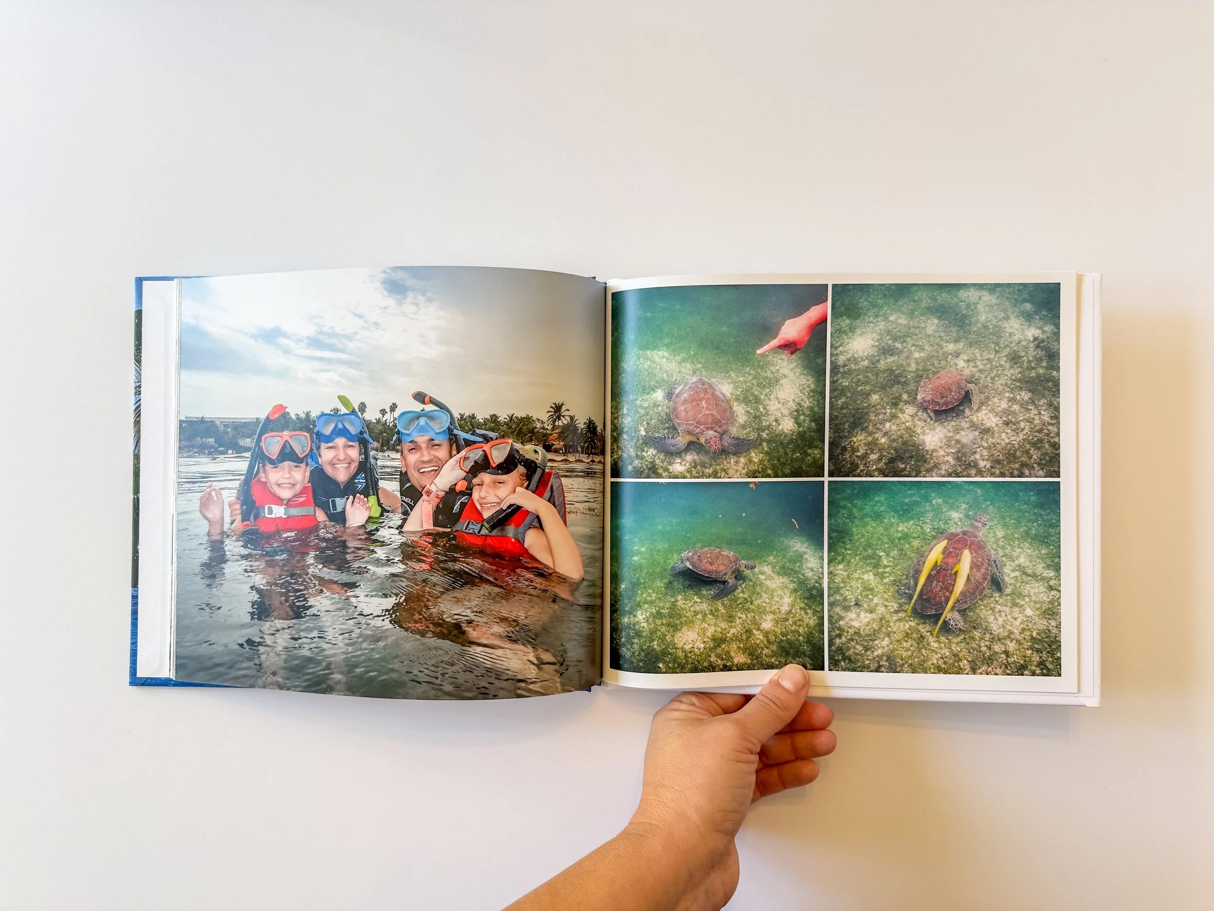 Open photo album showing a family wearing snorkeling gear in the water on the left page, and a collage of four pictures of a turtle swimming amidst green algae on the right page.