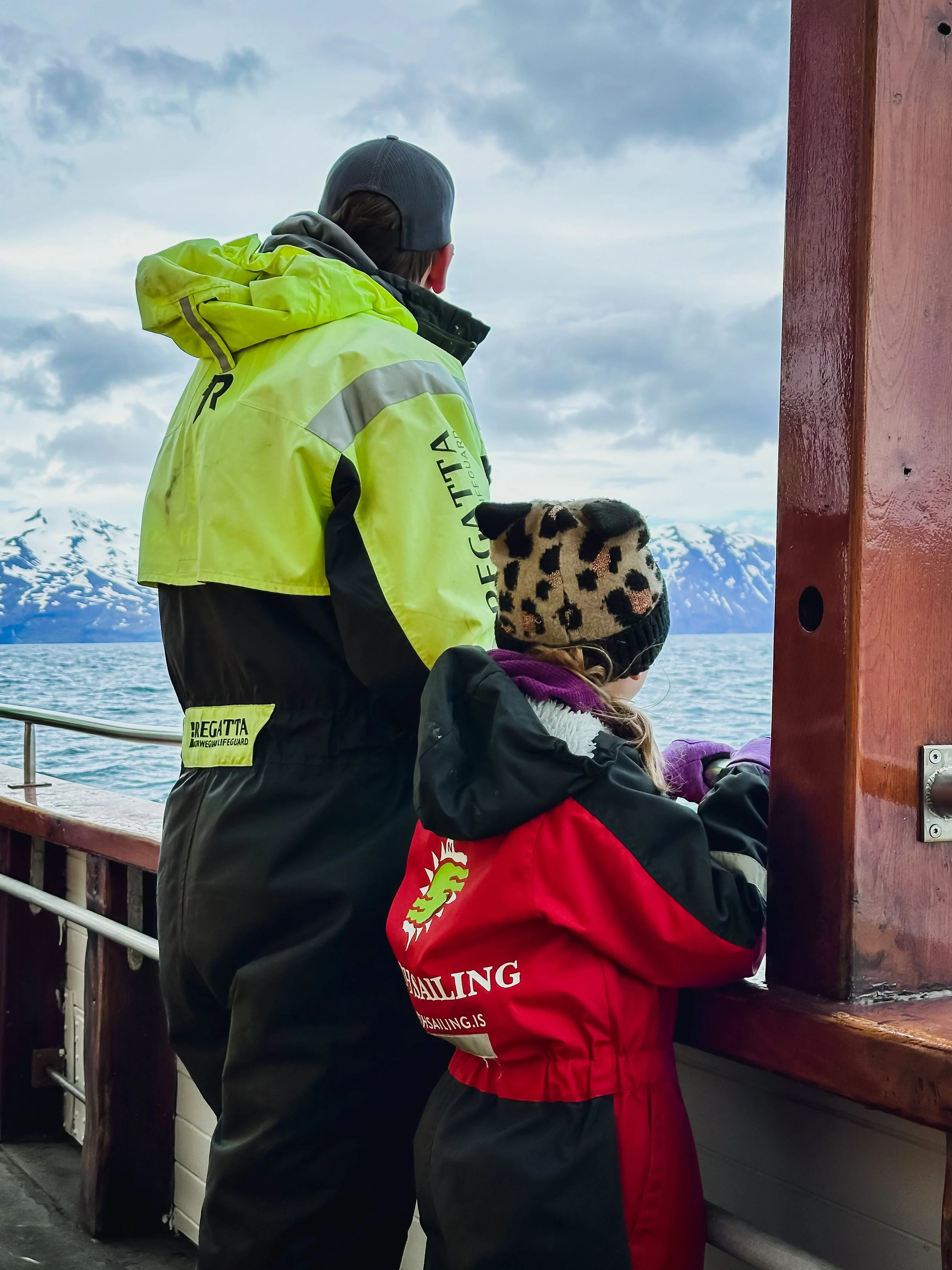Looking for whales of the north coast of Iceland