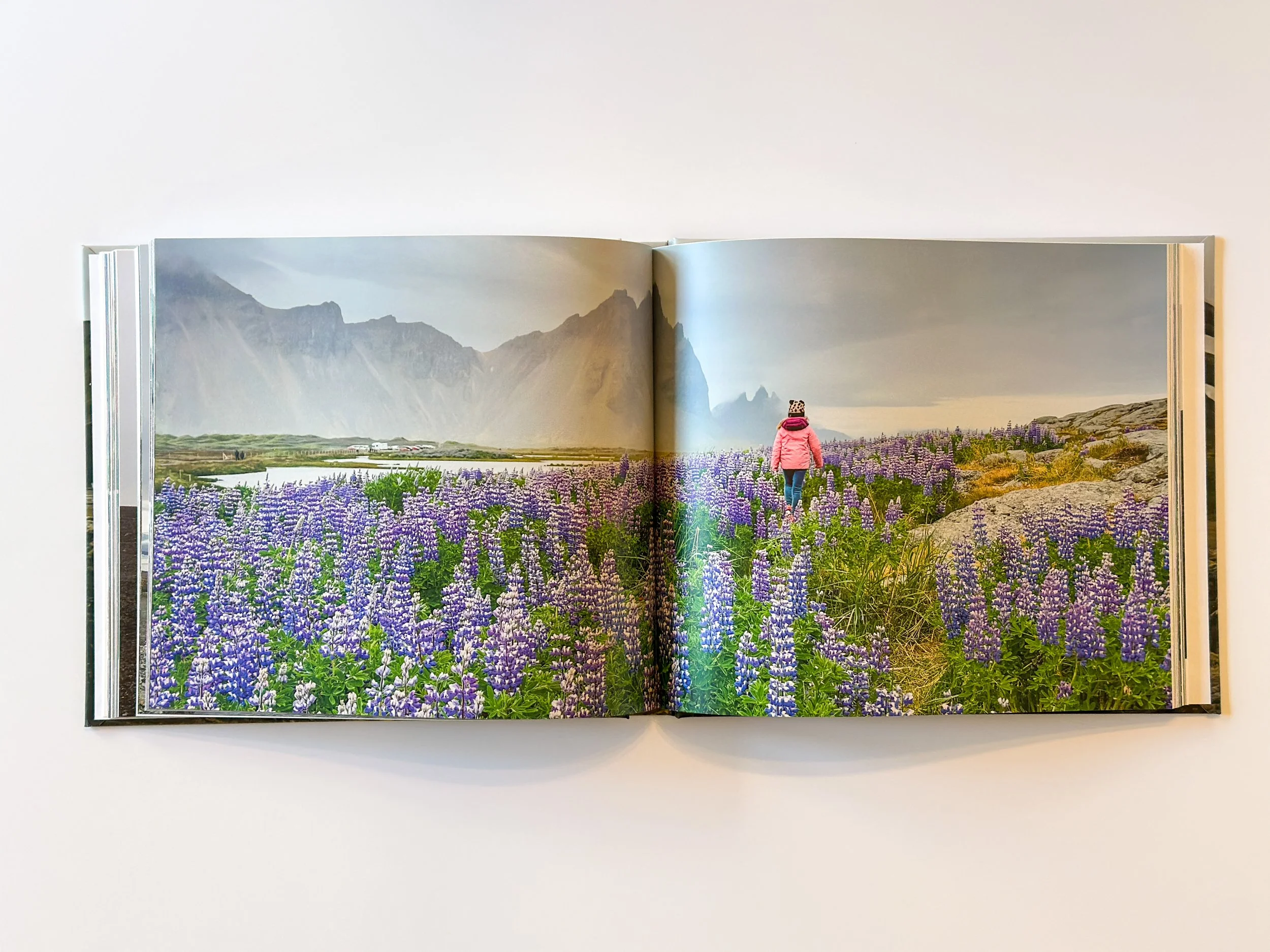 A person in a pink jacket walking through a field of purple flowers with mountains in the background.