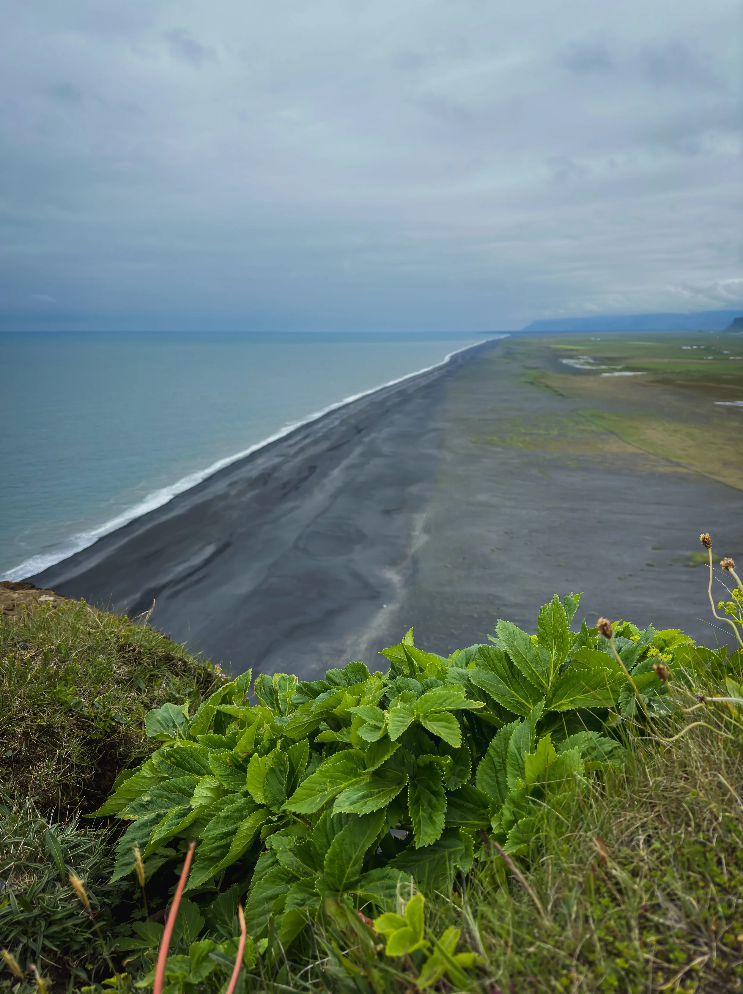 view of a black sand beach from Dyrhólaey in Iceland