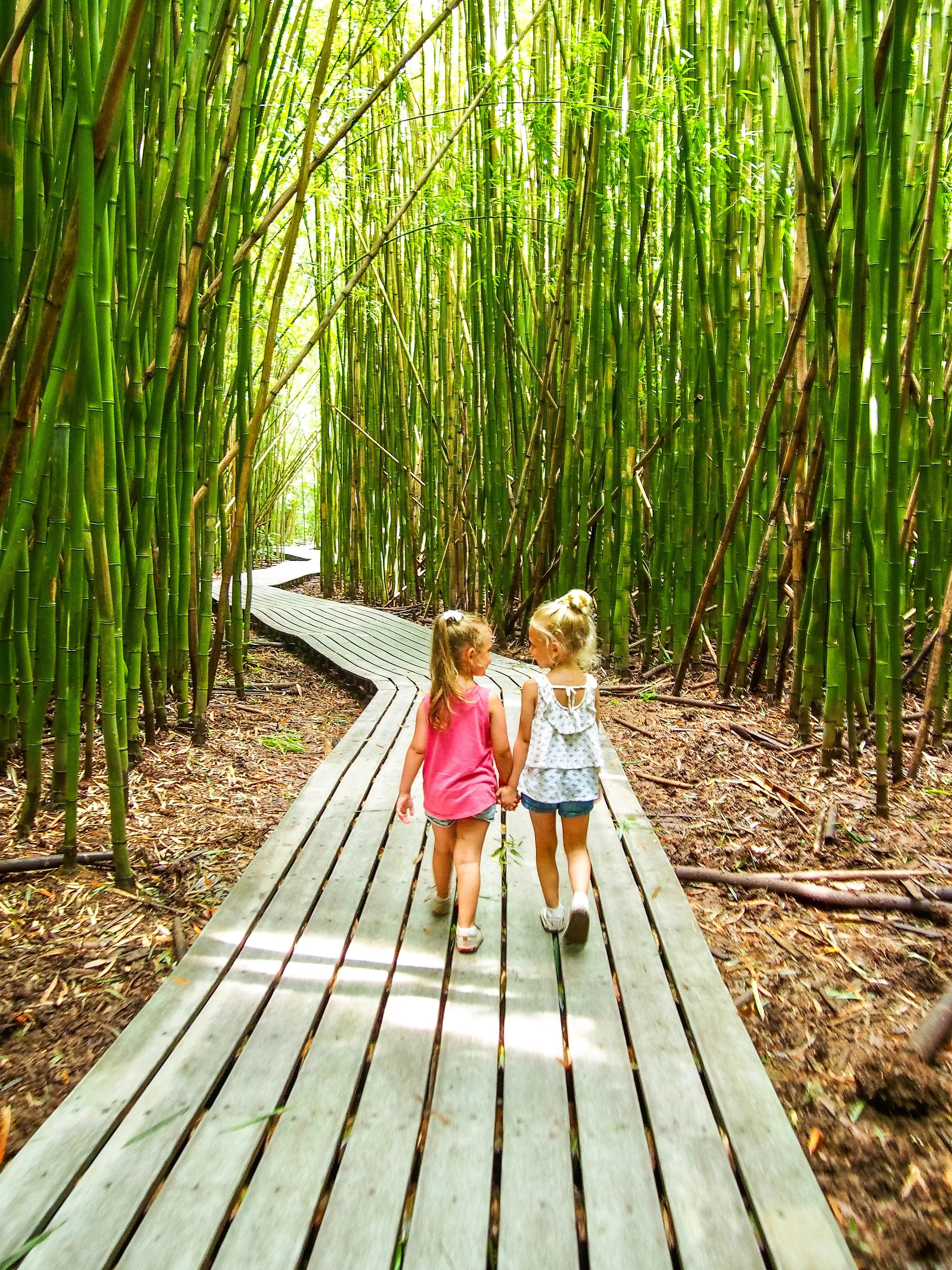 Two girls walking through the bamboo forrest on the Pipiwai Trail in Maui, Hawaii