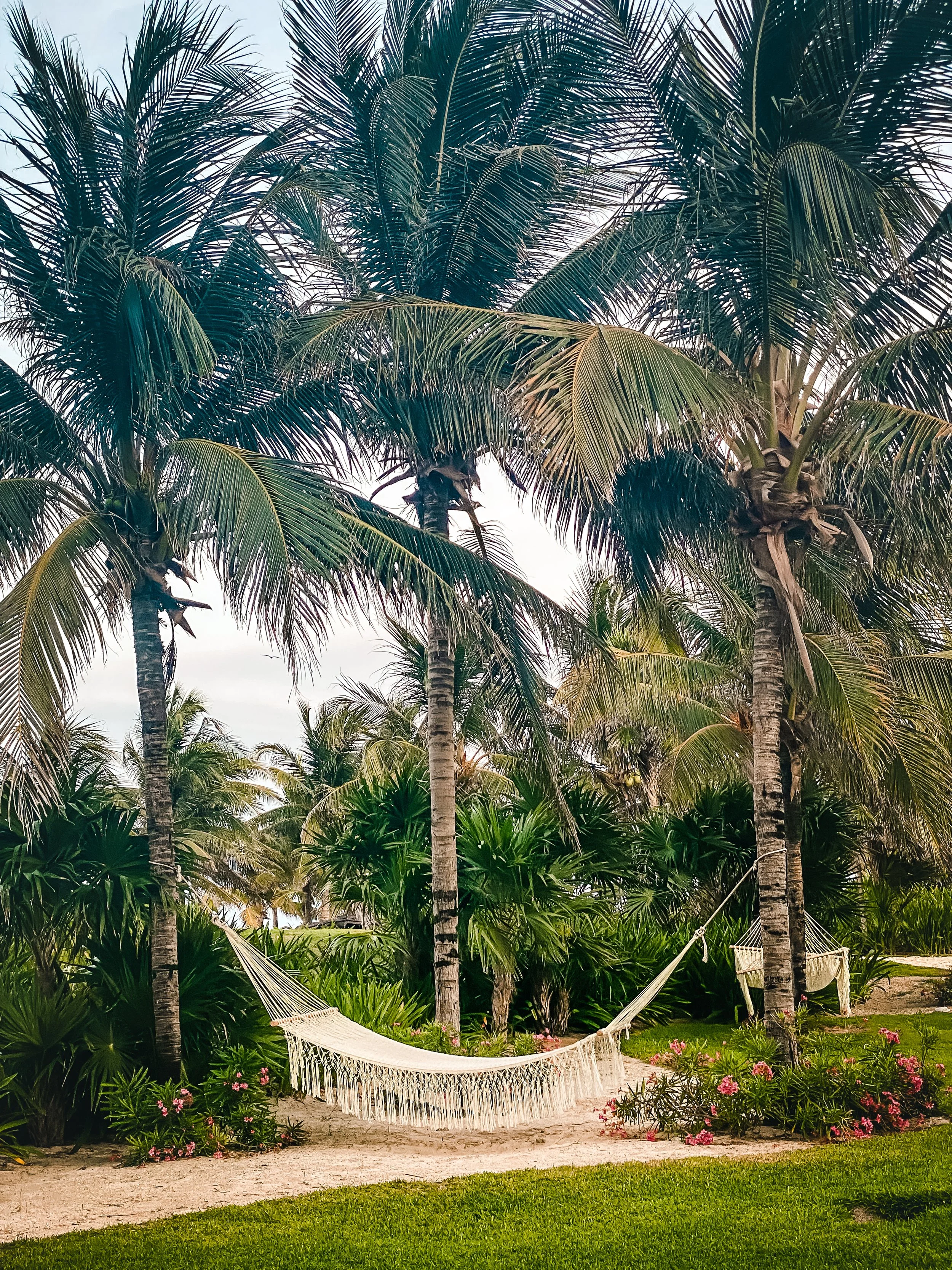 A hammock in Mexico, a perfect place to relax!