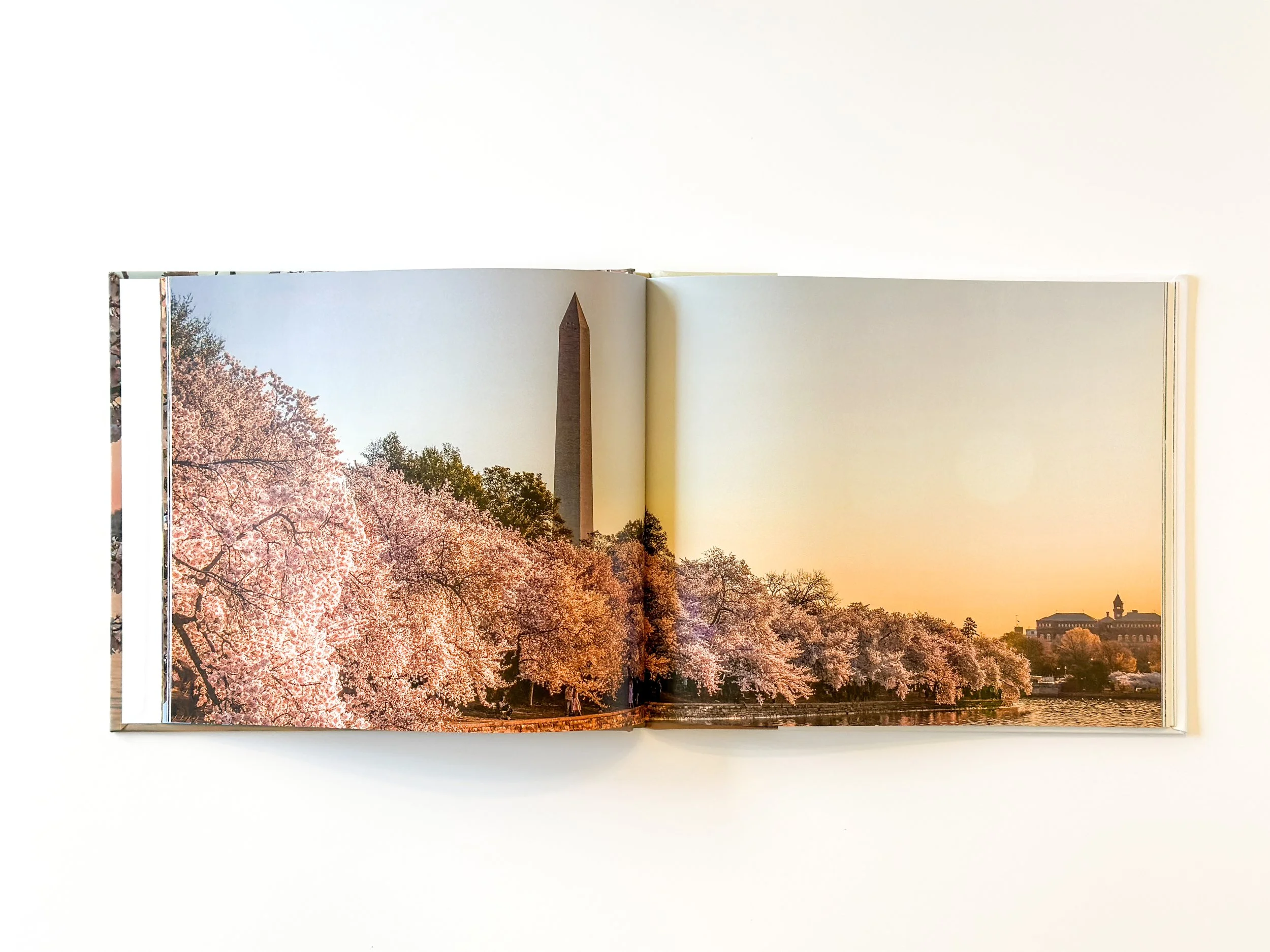 Open photo book showing a landscape with cherry blossom trees along a river, a tall monument, and a building with the Washington Monument at sunrise.