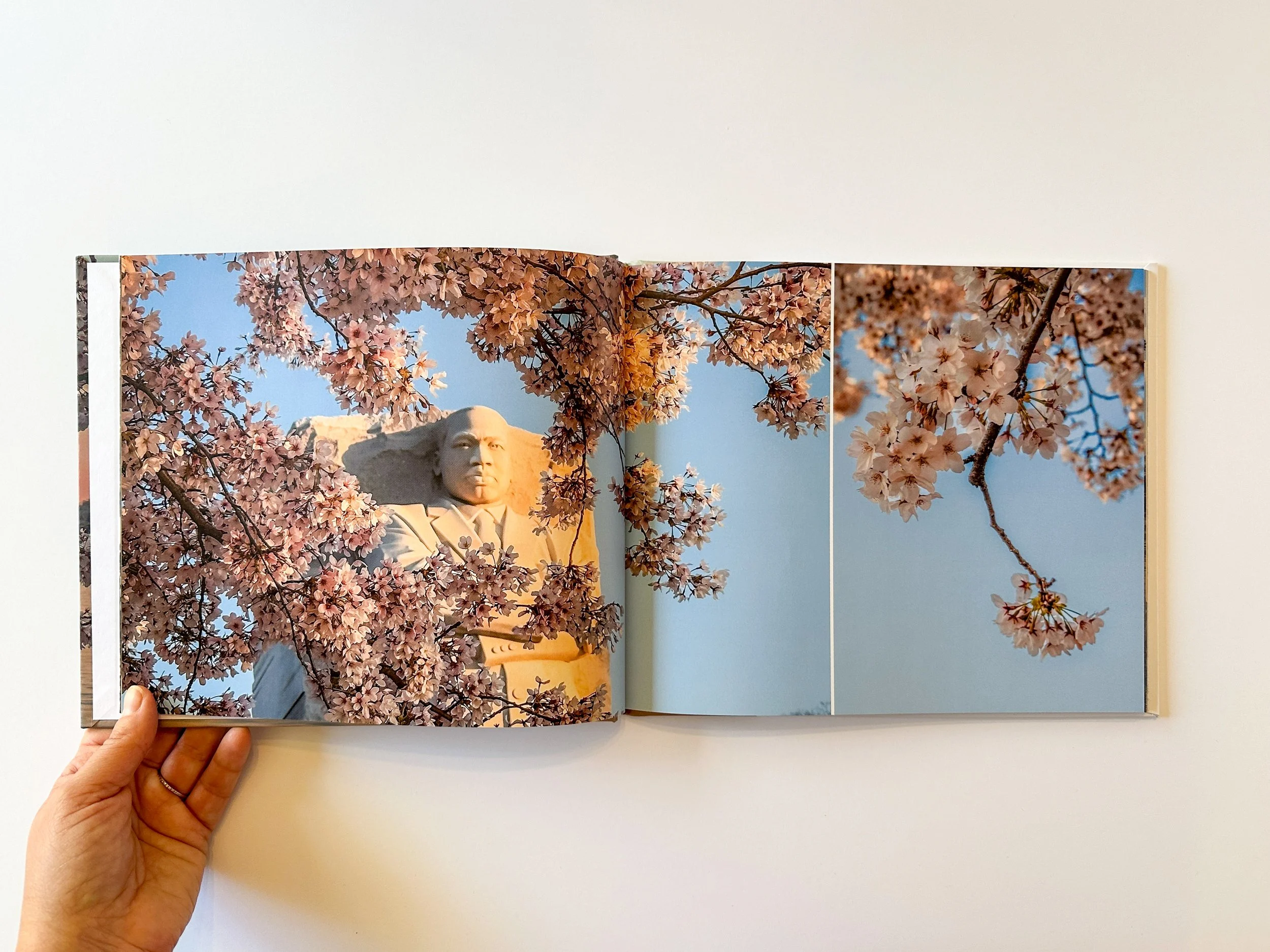 Open book showing a photo of the Lincoln Memorial framed by pink cherry blossoms against a clear blue sky.