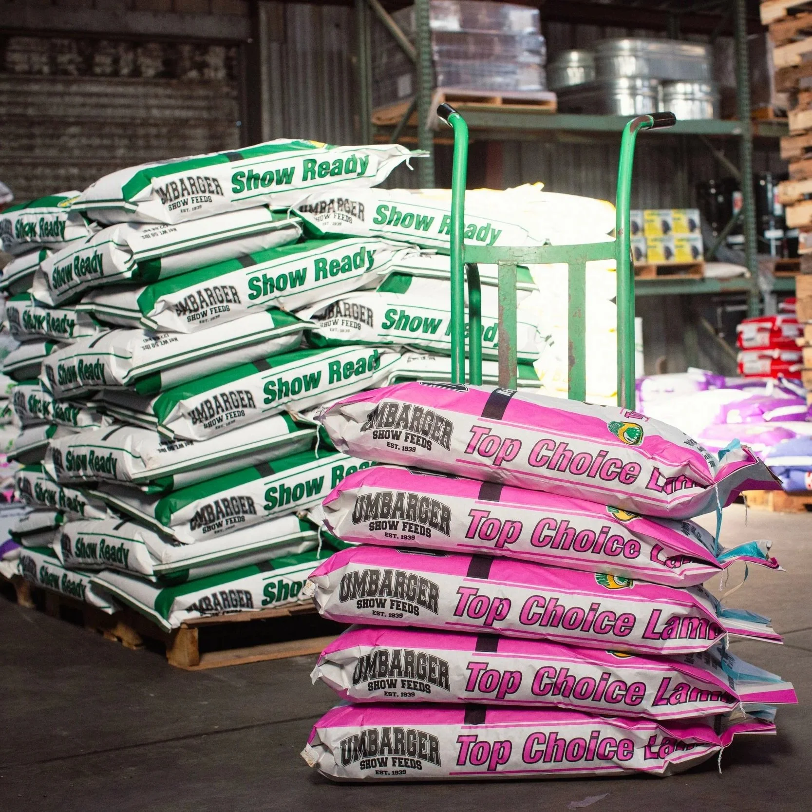Bagged lamb show feed designed to support growth, muscle development, and overall condition.